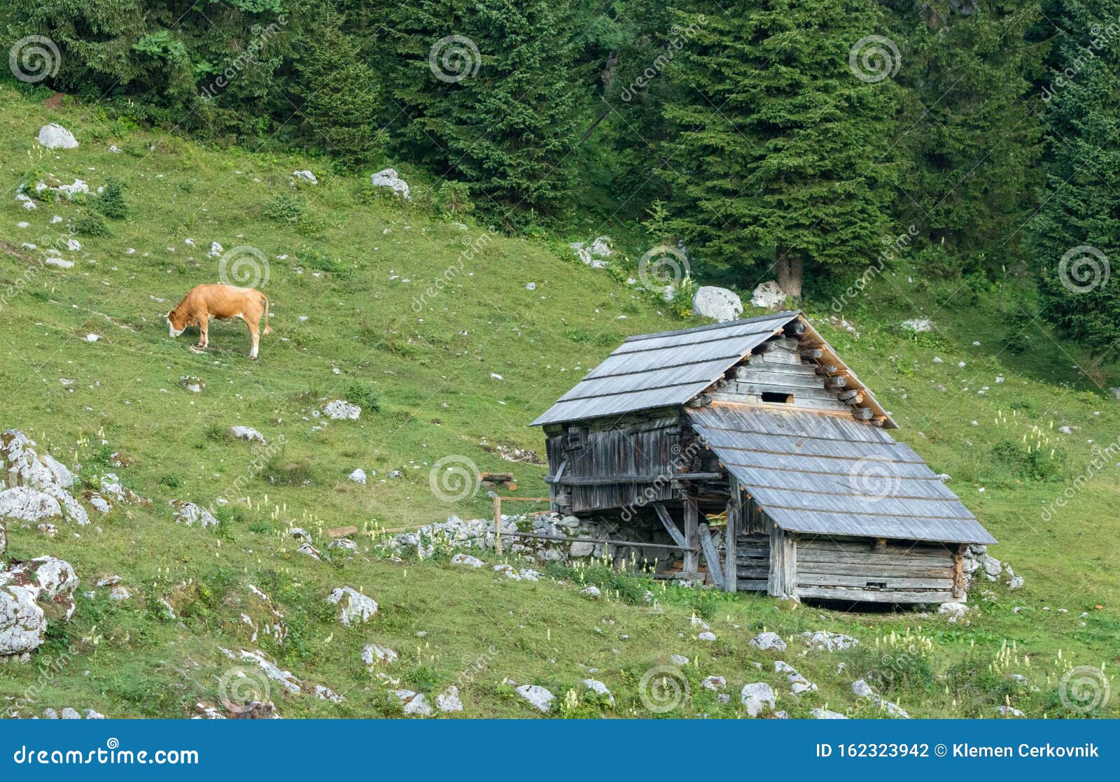 Cabaña De Montaña Con Vaca Al Lado Foto de archivo - Imagen de ambiente,  cubo: 162323942
