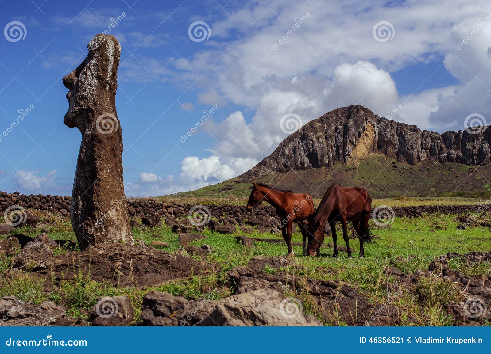 Caballo cerca de las estatuas en Isla de Pascua Rapa. Estatuas de los caballos de la isla de Suramérica pascua