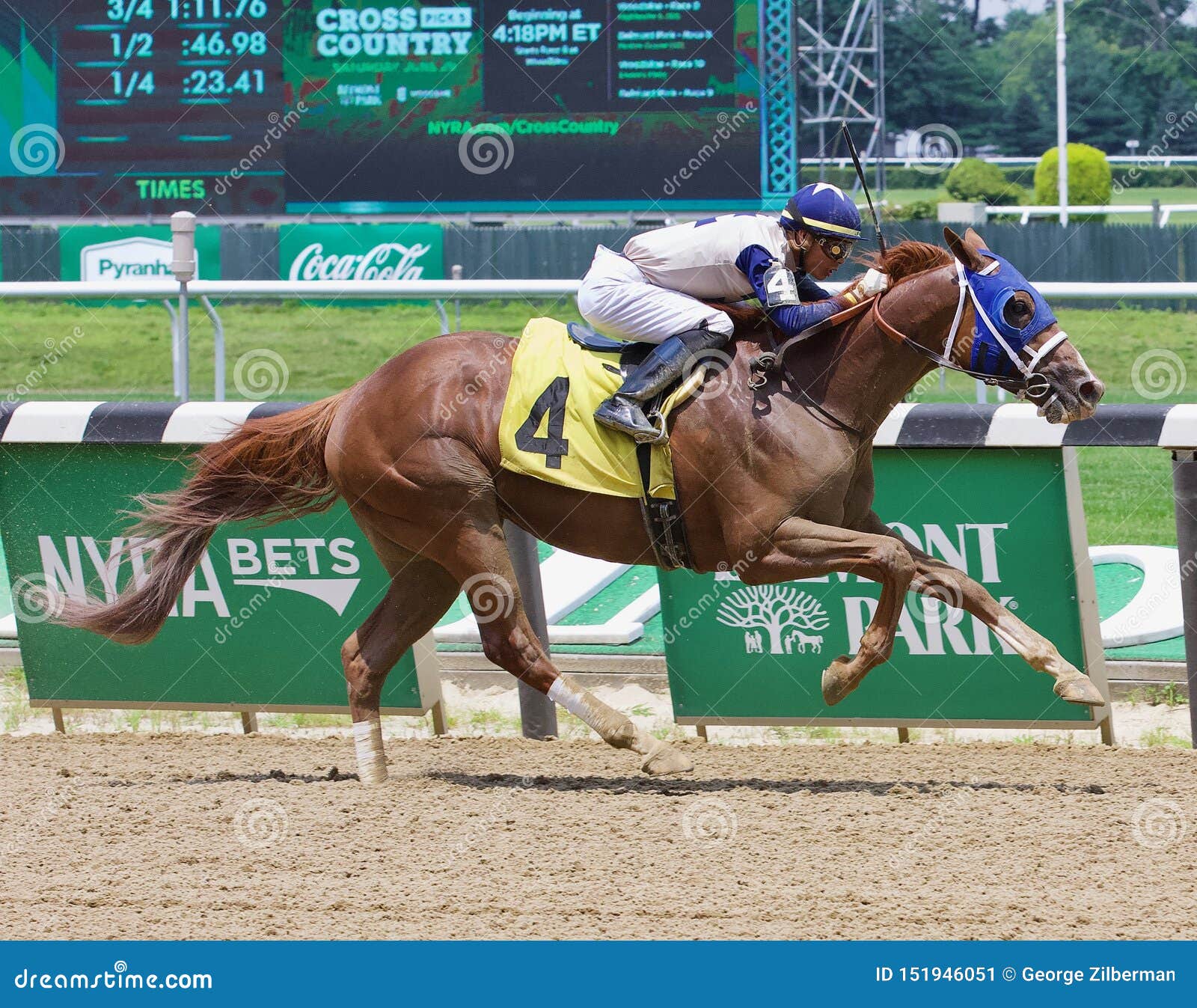 Caballos De Carreras Que Ganan De Belmont Park Foto editorial - Imagen de  racehorses, completo: 151946051