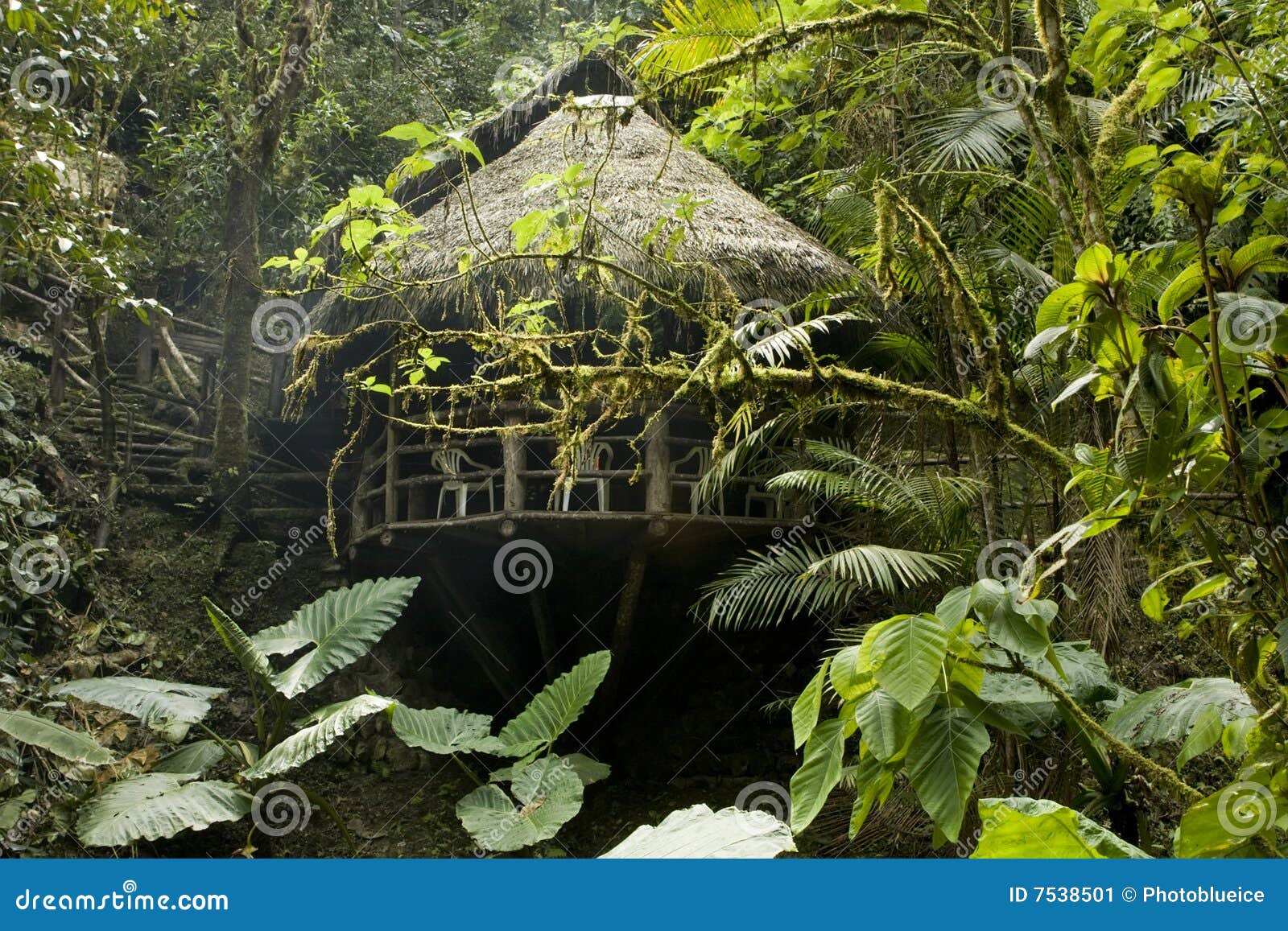 cabana in the ecuadorian cloudforest