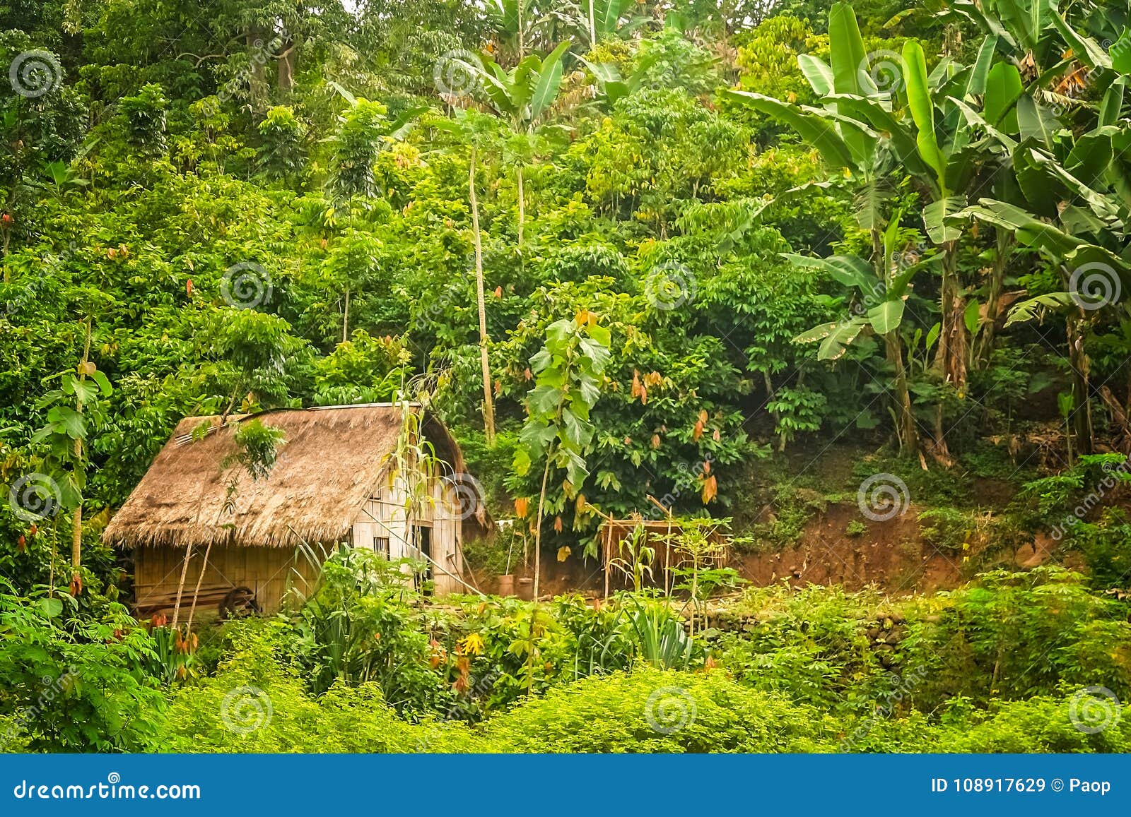 Cabana pequena na selva. Cabana de bambu de madeira pequena na selva na ilha indonésia de Flores Nusa Teggara