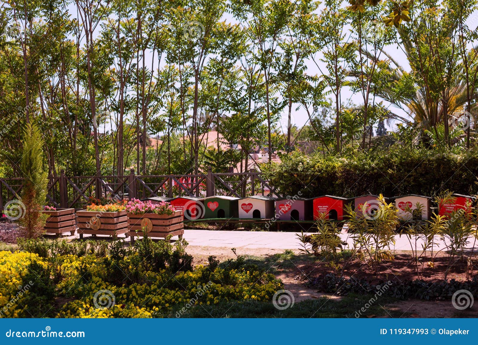 Cabanas dos gatos imagem de stock. Imagem de grama, doméstico 119347993