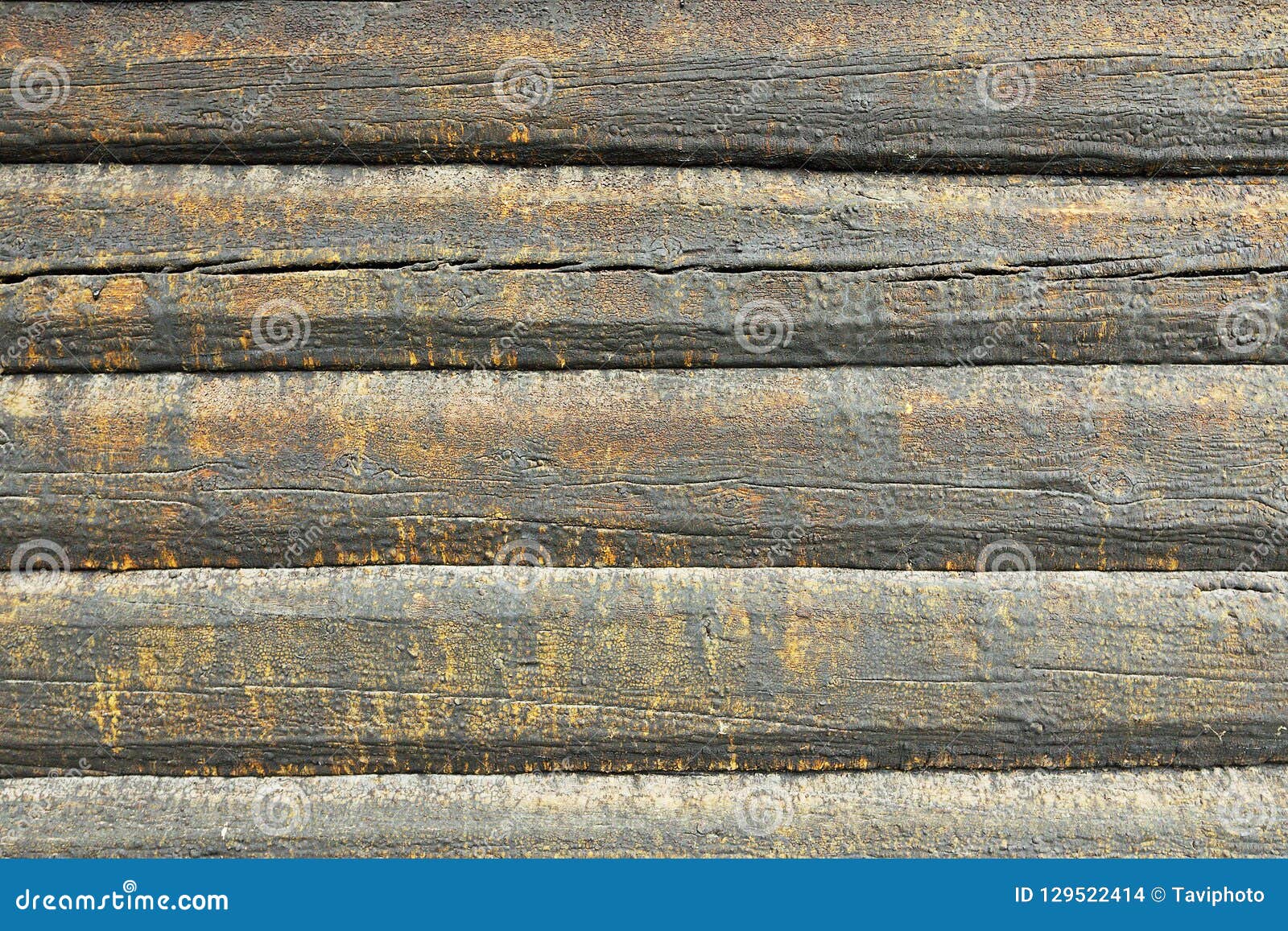 Cabane En Rondins En Bois Traitée Avec Du Goudron De Pin Photo stock -  Image du journal, sublimée: 129522414