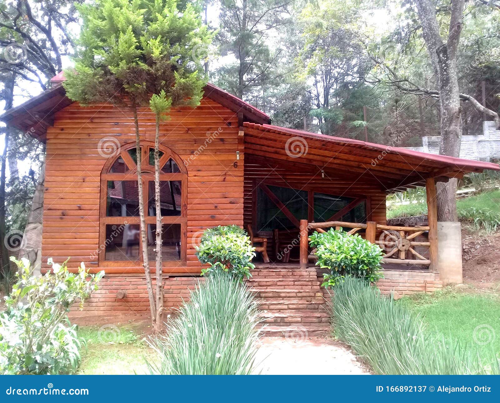 cabana rustica de madera en medio del bosque