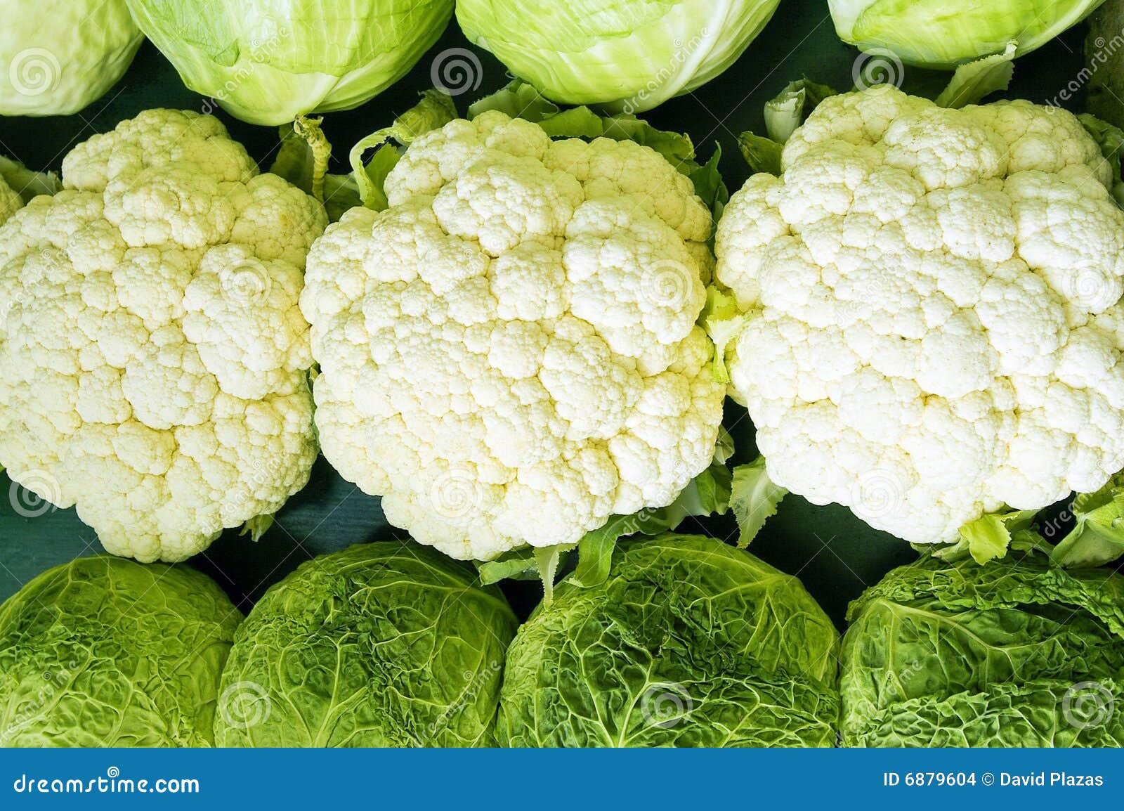 cabbage and cauliflower