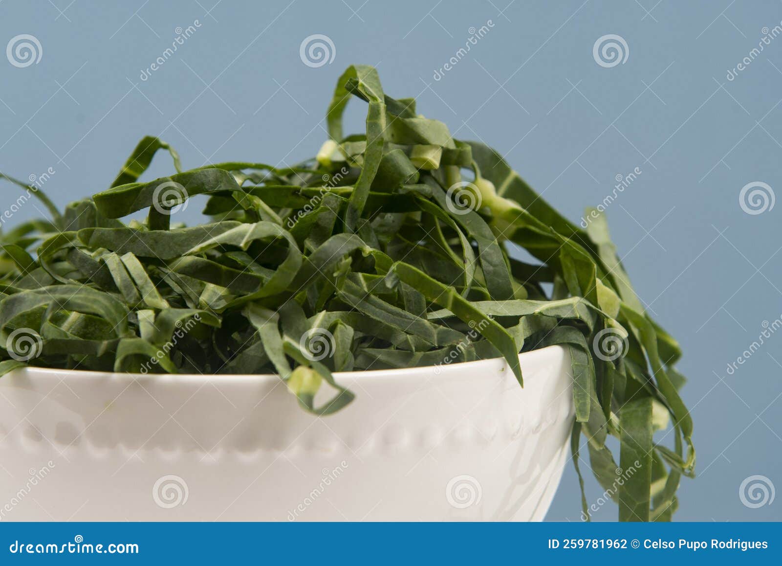 Cabbage Chopped into Strips in Pot Isolated Stock Photo Image of