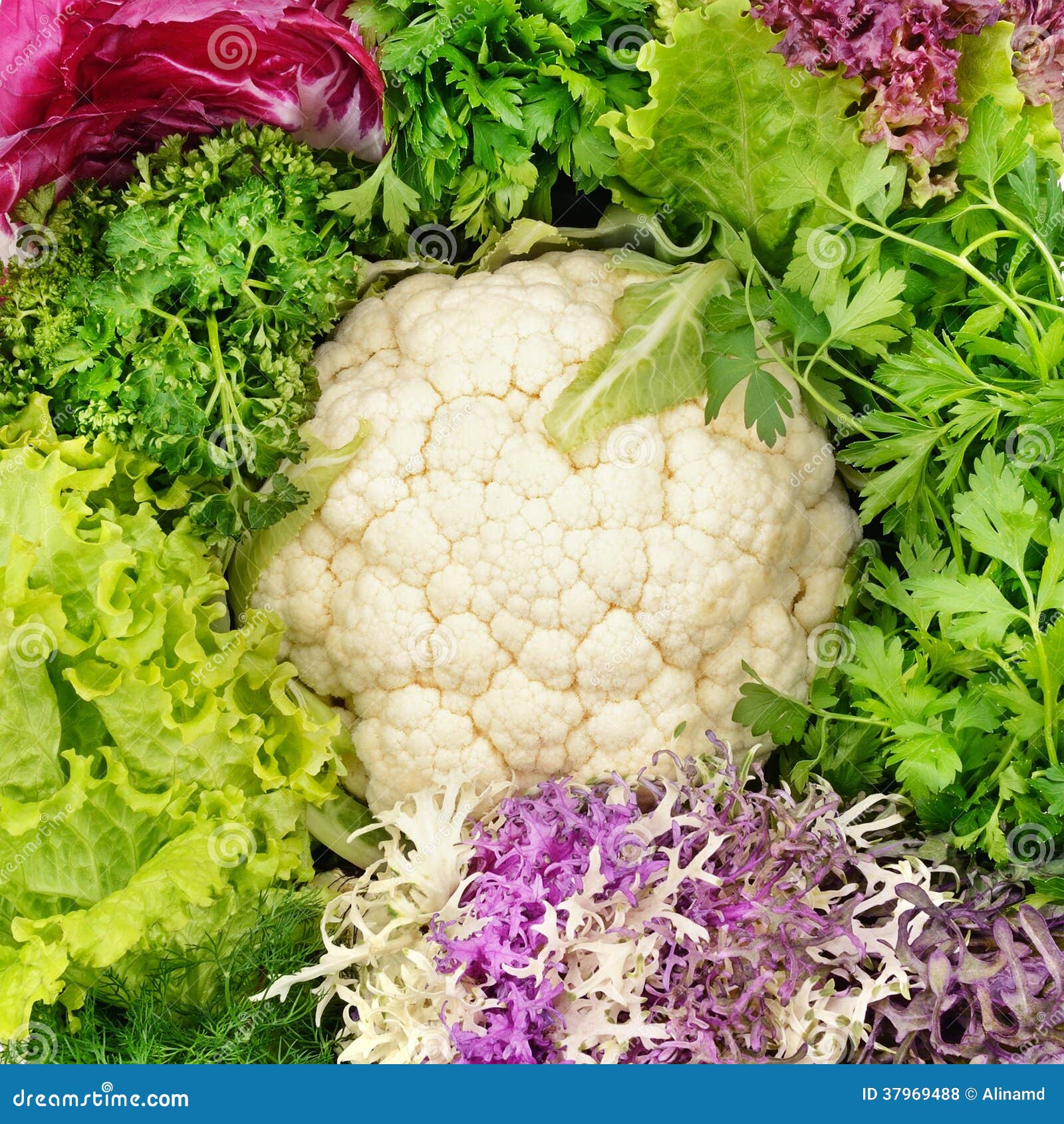 Cabbage and other greens stock photo. Image of freshness 37969488