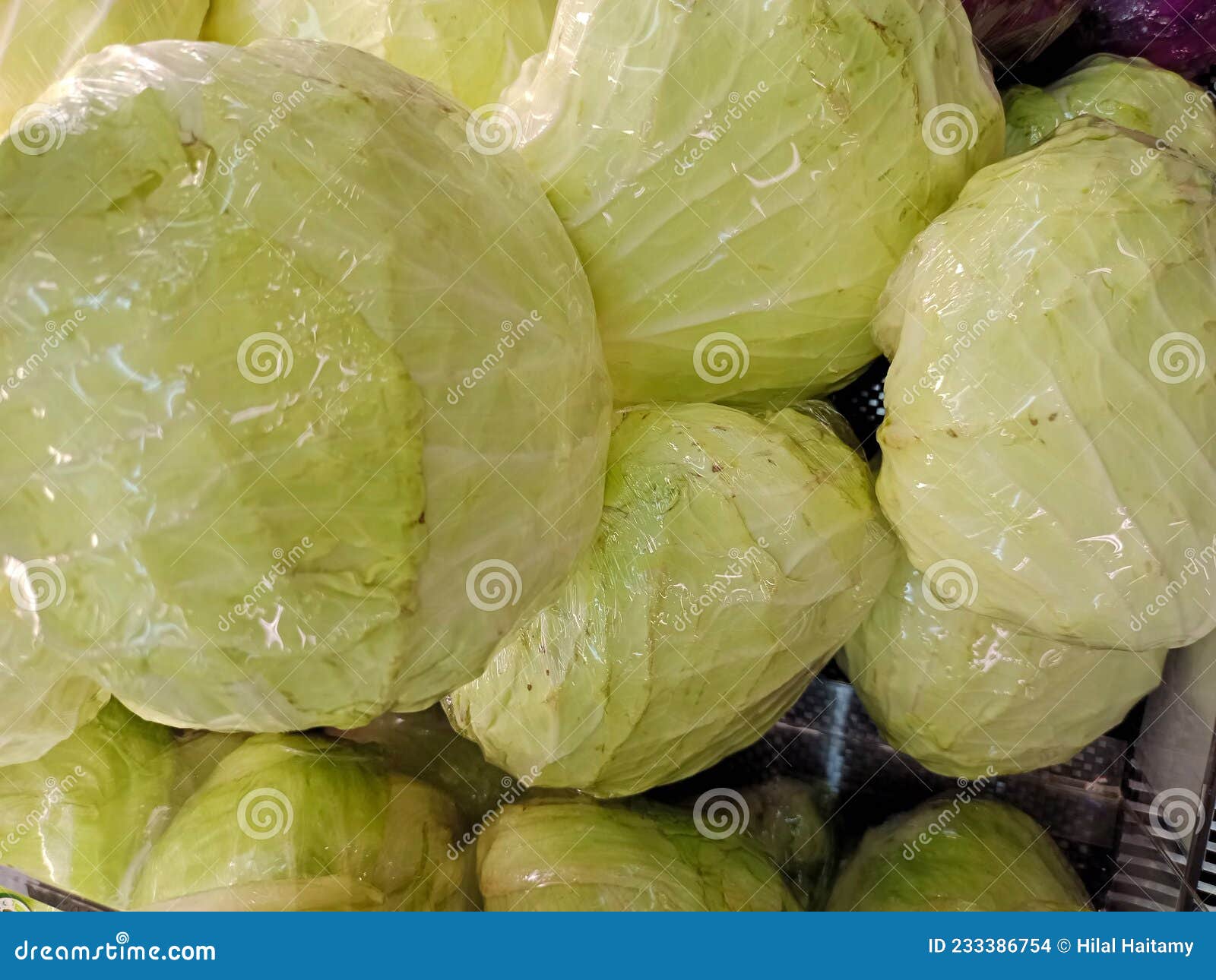 Cabbage, for Soup Ingredients, Vegetable Dishes, Bland Taste, Suitable
