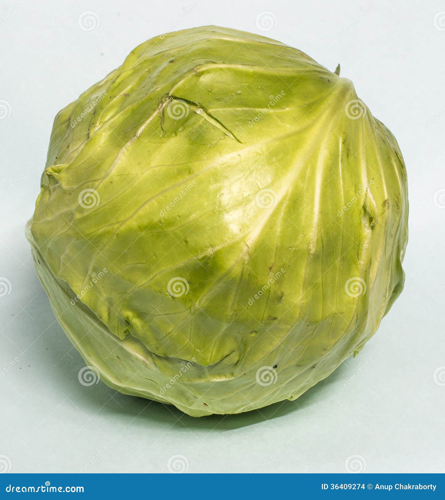 Cabbage stock photo. Image of vegetable, health, cabbage 36409274