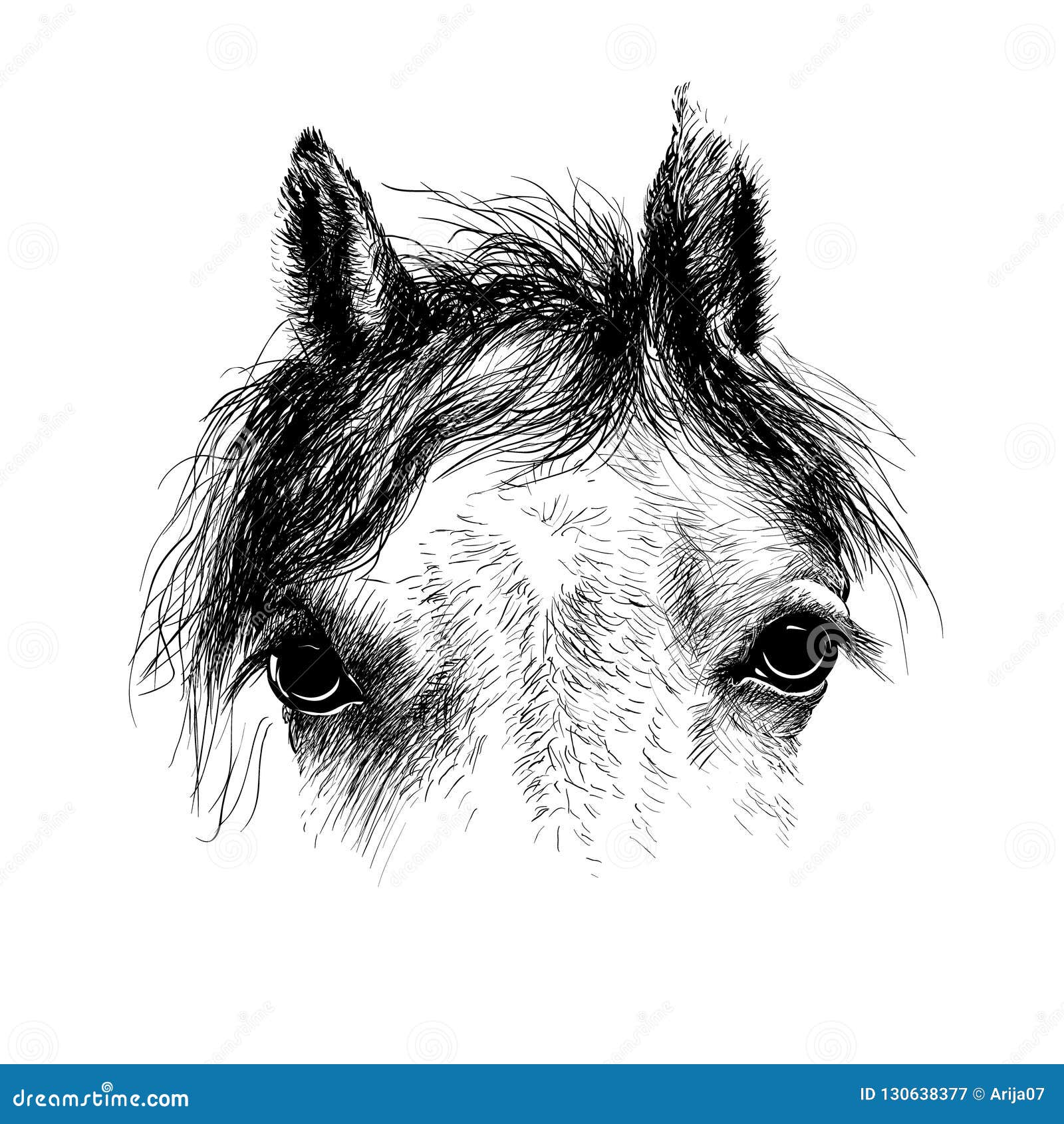 equino  Esboço cavalo, Pintura animal, Coisas simples para desenhar