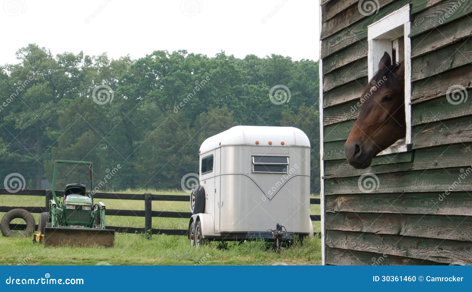 Foto de Cabeça De Cavalo Na Frente Do Celeiro Vermelho e mais fotos de  stock de Azul - Azul, Cabeça de animal, Cavalo - Família do cavalo - iStock