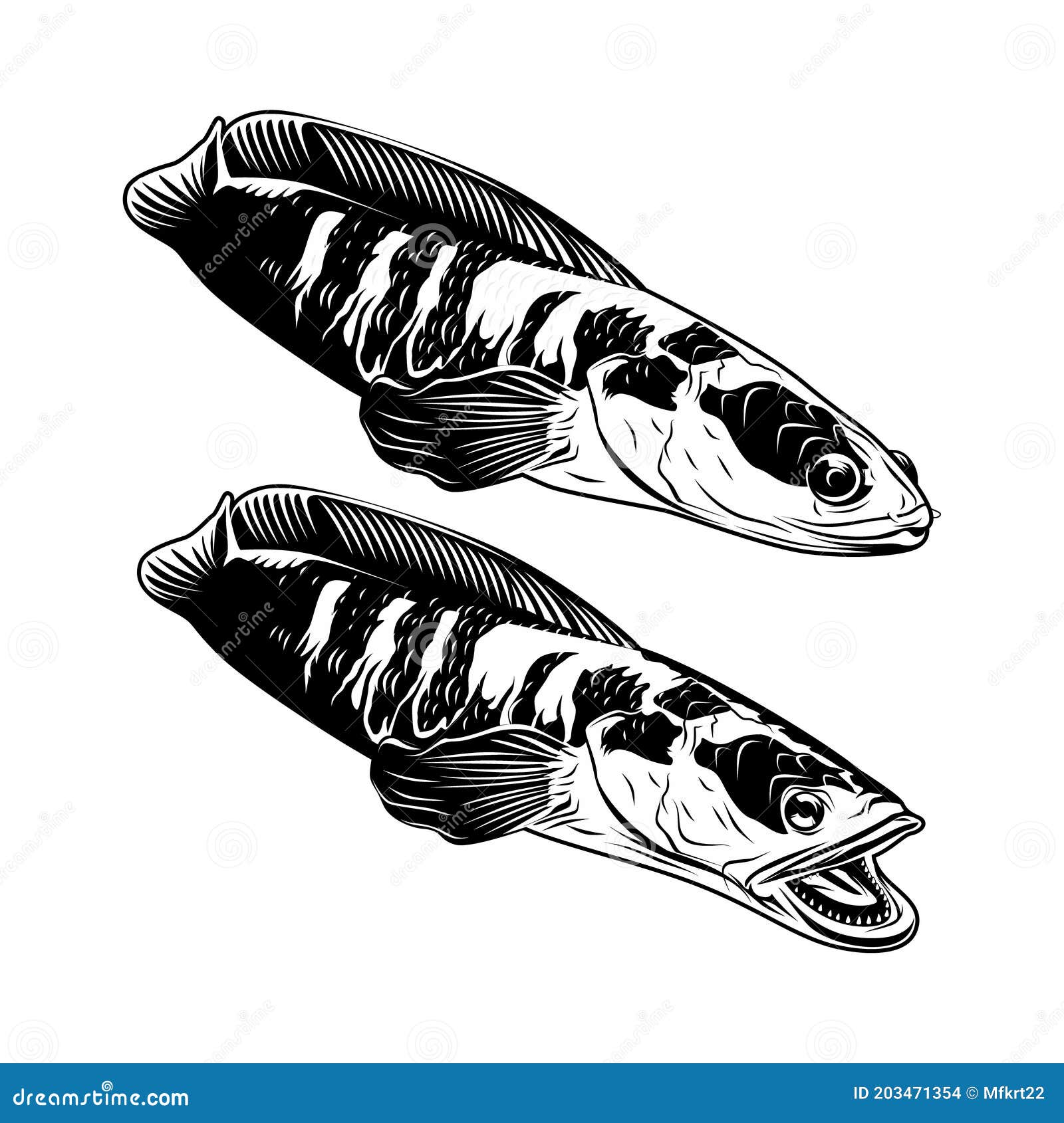 Ilustração de vetor de peixe cabeça de cobra azul bonito dos