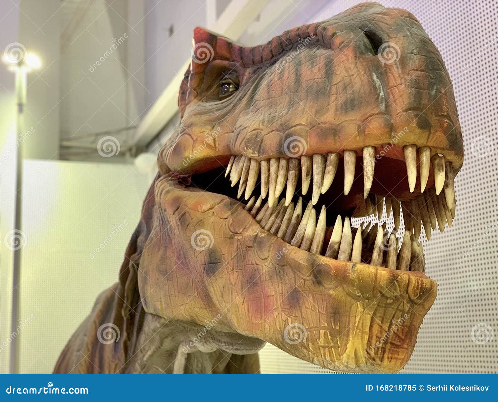 Dinossauros como o T. Rex tinham tipo único de dente serrilhado