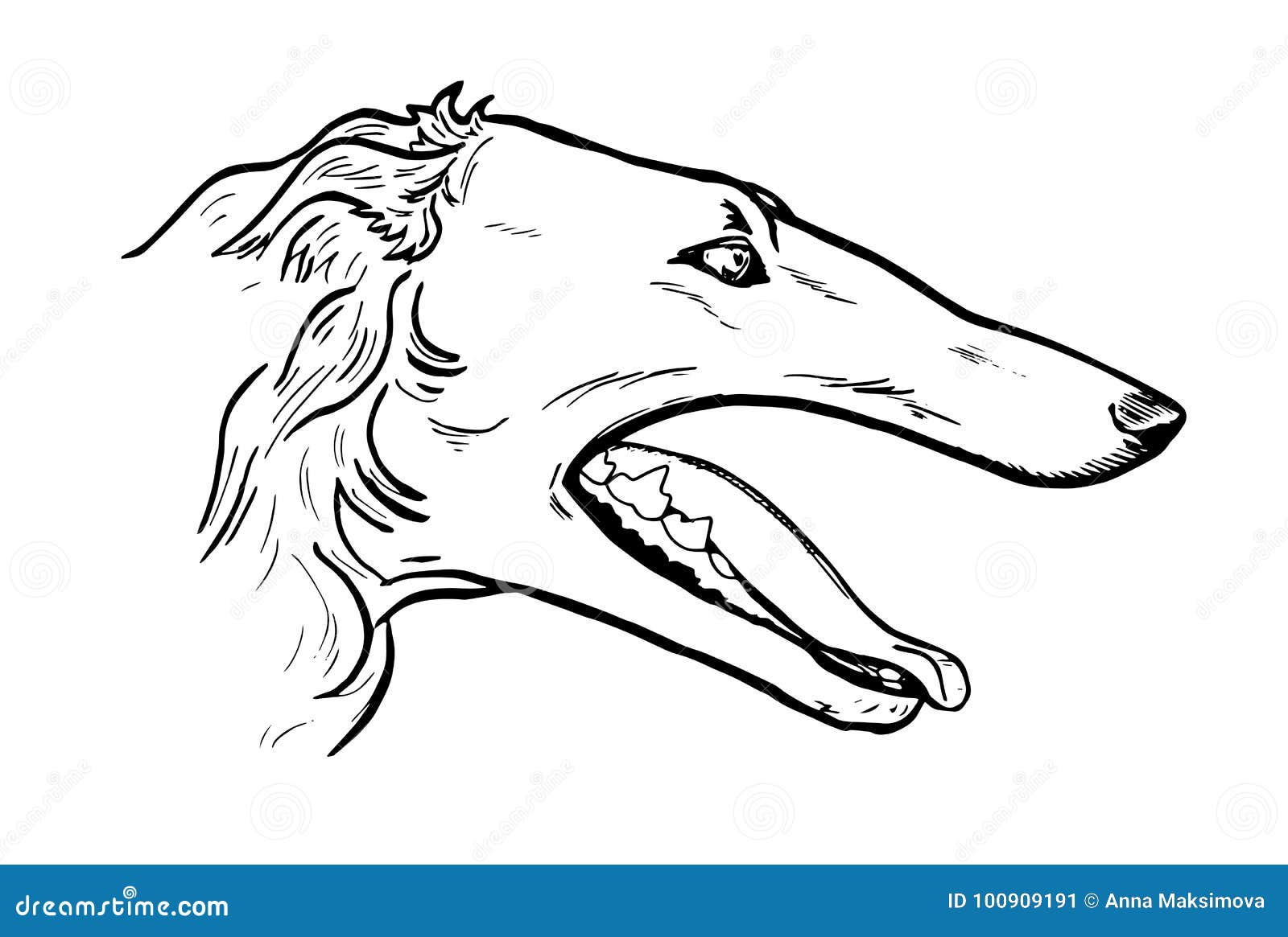 Cabeça do galgo no perfil ilustração do vetor. Ilustração de elegante -  100909191, image size:1600x1165