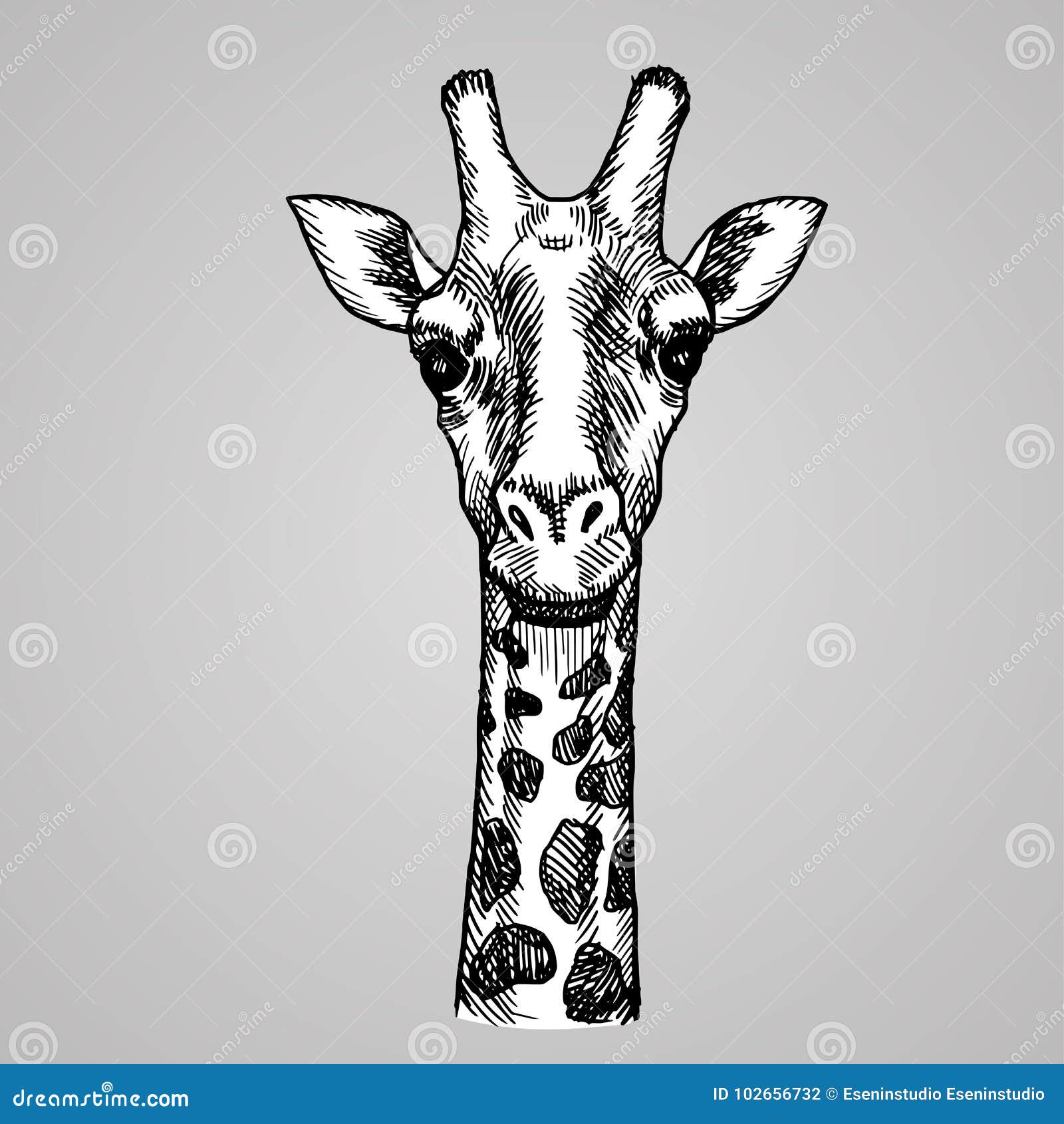 Esboço Vazio Cabeça Girafa Doodle Bonito Isolado Fundo Branco