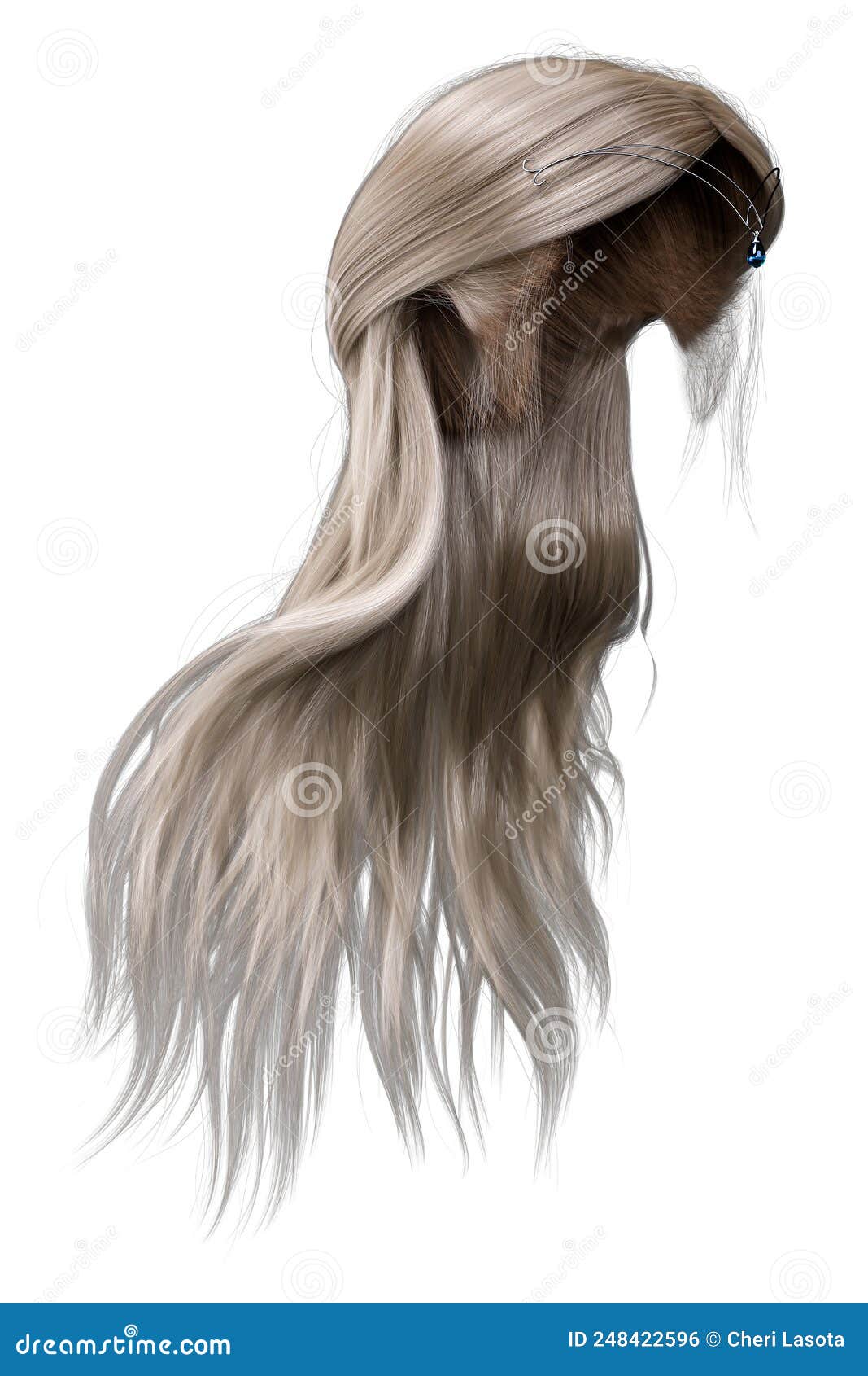 Visão Frontal Do Cabelo Longo E Louro Ilustração Stock