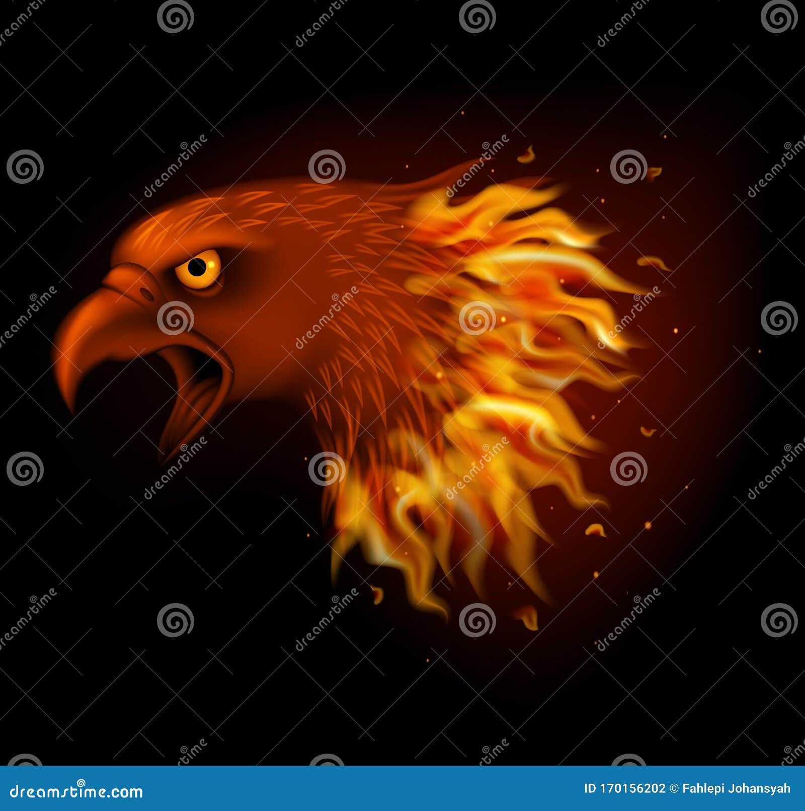Cabeza De águila De Fuego Aislada En Fondo Negro Ilustración del Vector -  Ilustración de peligro, plumaje: 170156202