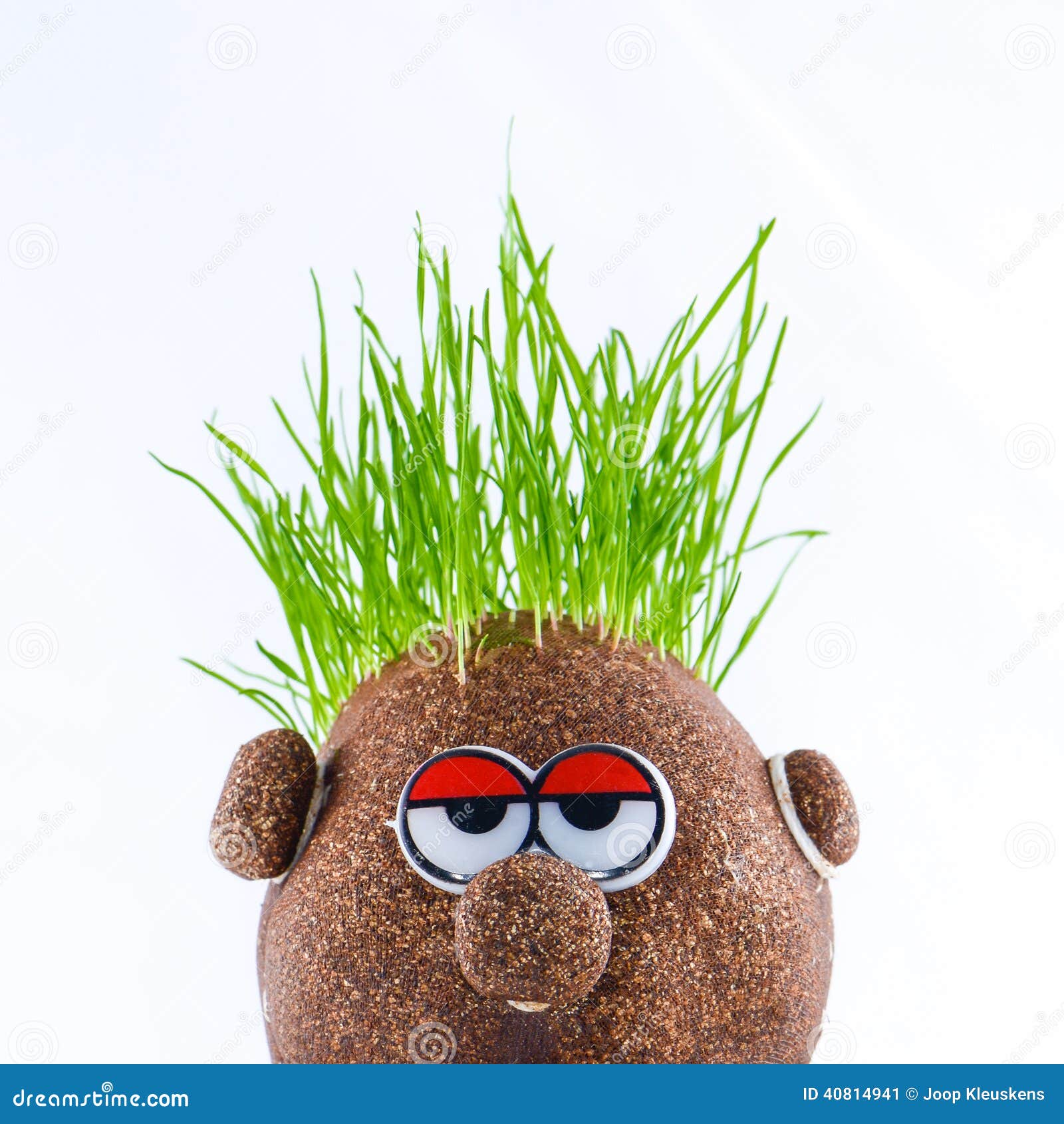 Cabeza De La Patata Con La Hierba Imagen de archivo 