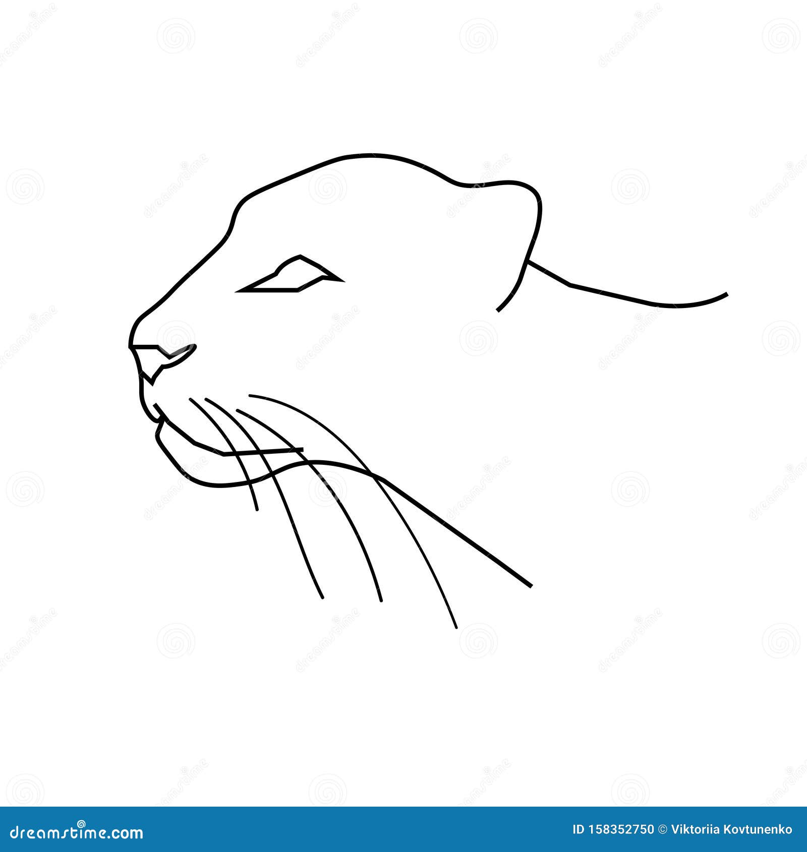 Cabeza De Pantera O Leopardo. Dibujo De Dibujo En LÃnea. Esquema Negro  Sobre Fondo Blanco. IlustraciÃ³n Del Vector Ilustración del Vector -  Ilustración de silueta, travieso: 158352750