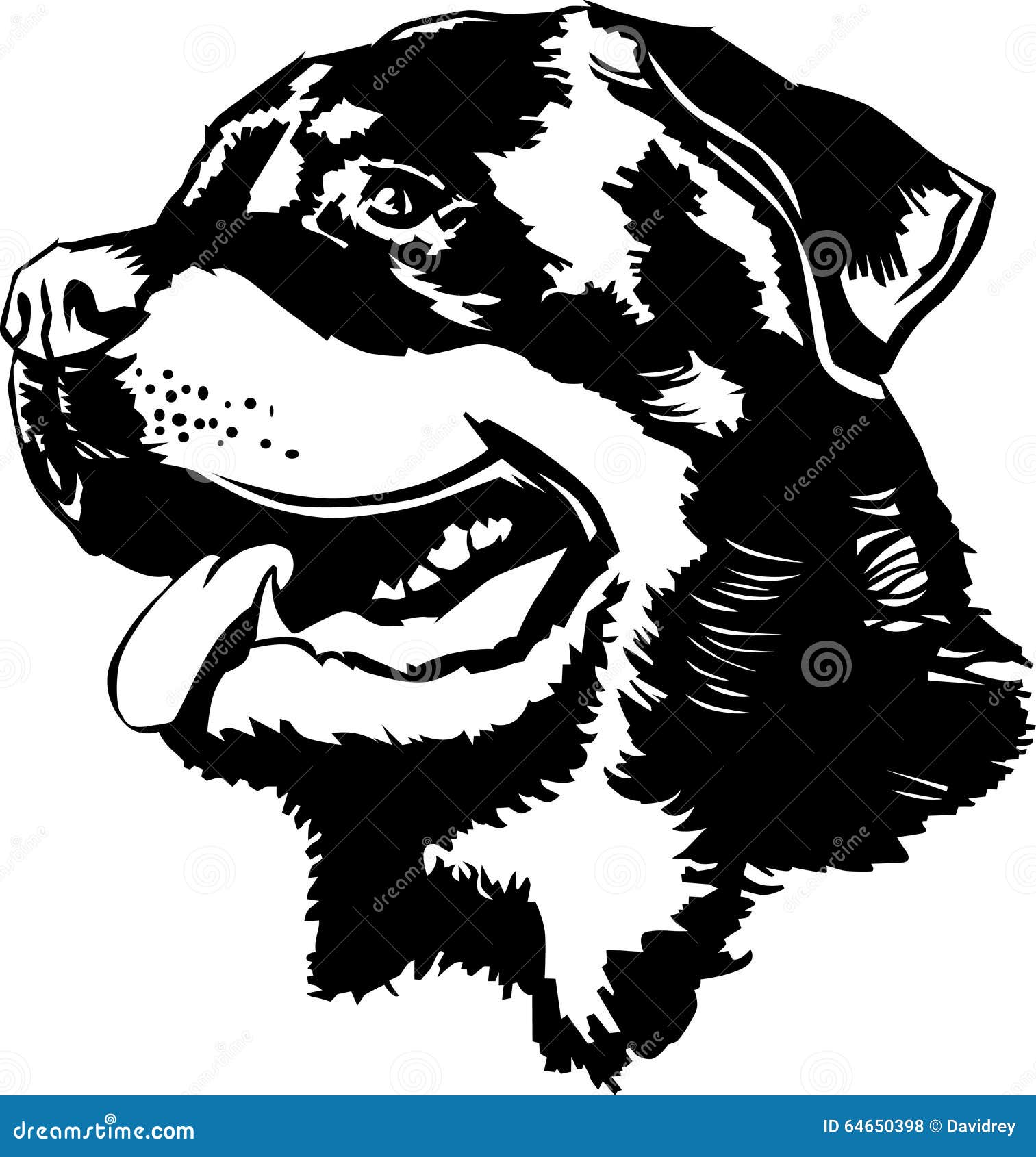 Cabeza de Rottweiler ilustración del vector. Ilustración de blanco