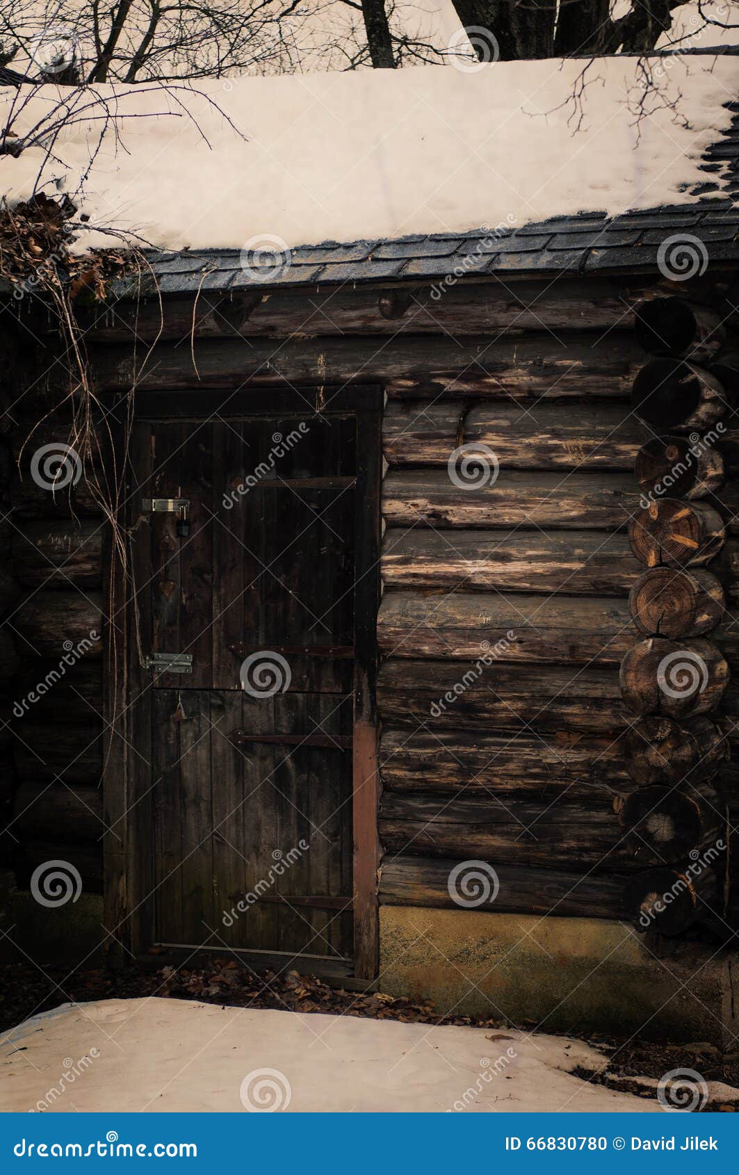 Cabin Door stock photo. Image of shelter, fall, cabin 66830780