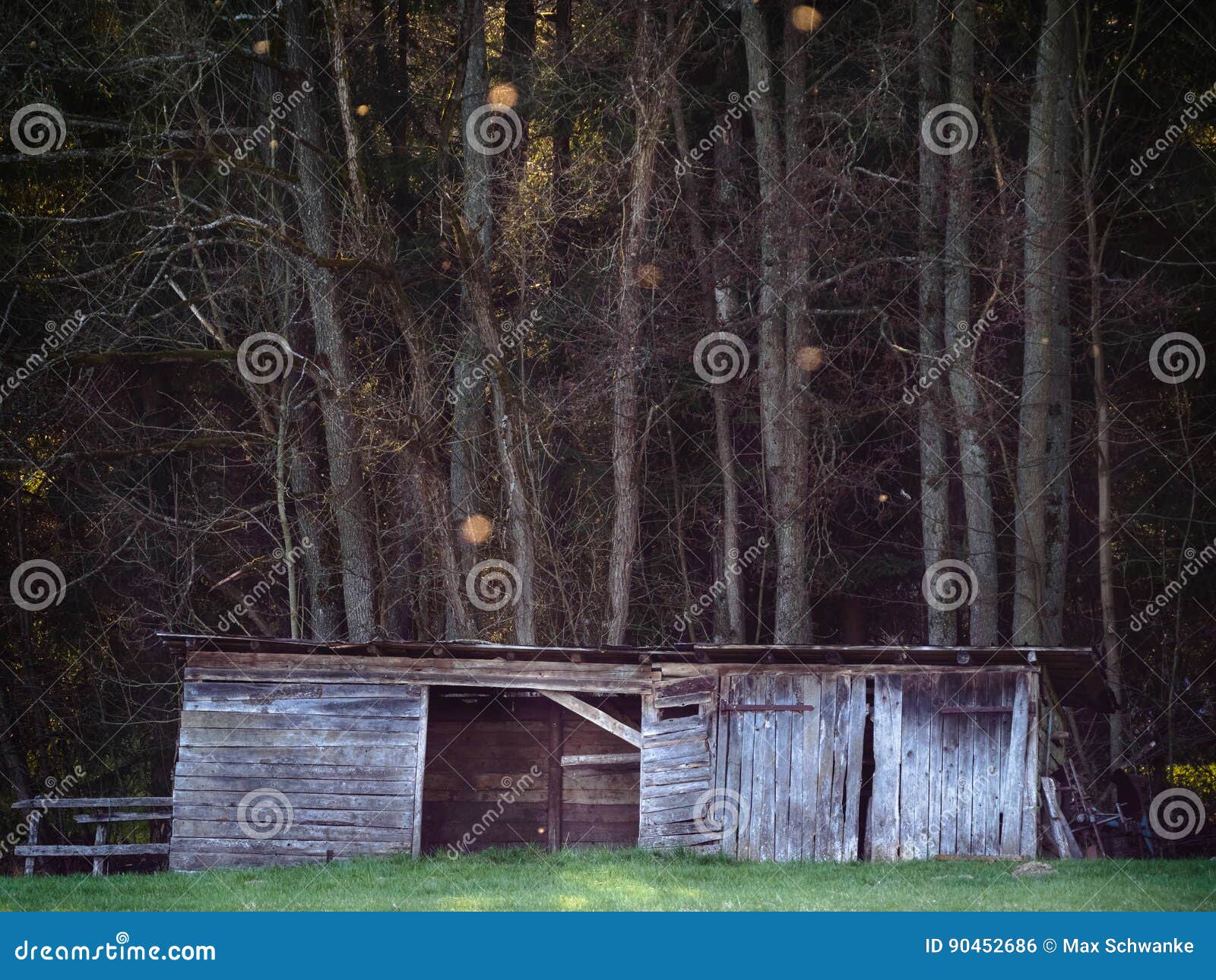 A Cabin or Stable in the Woods Stock Photo Image of district, eerie