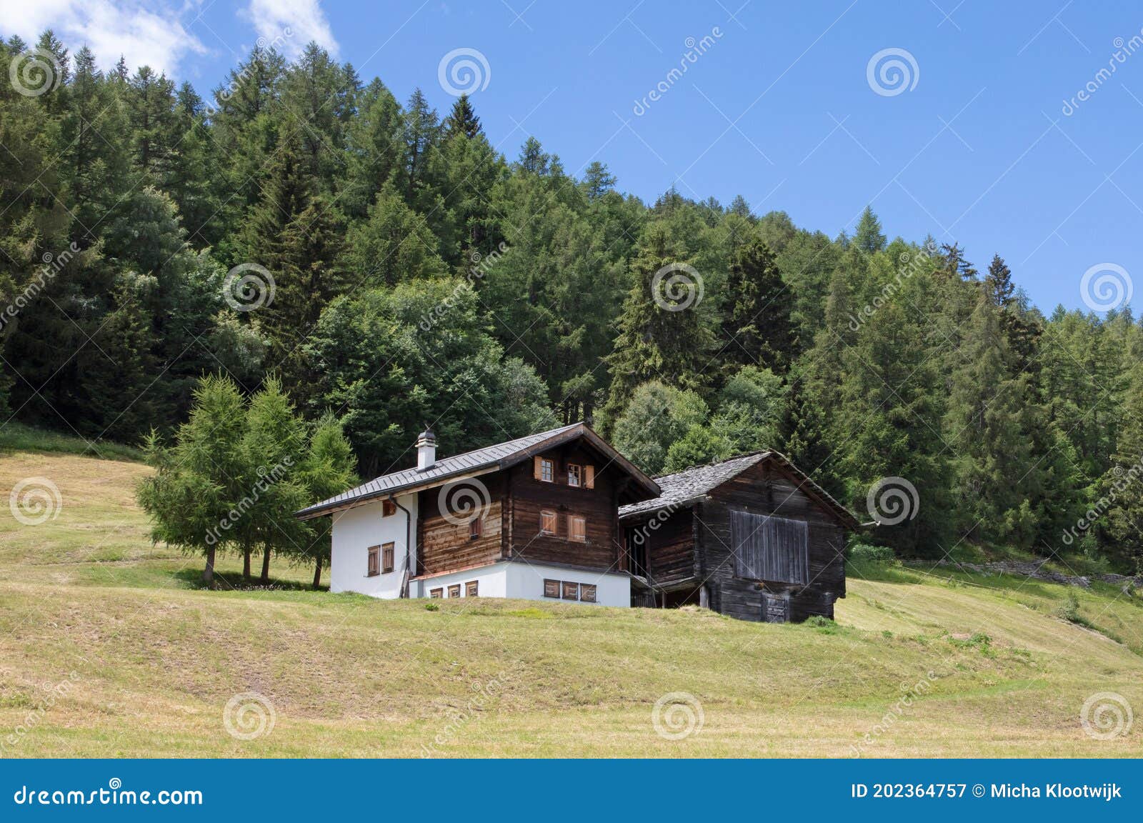 Cabin in Switzerland stock image. Image of wild, forest 202364757