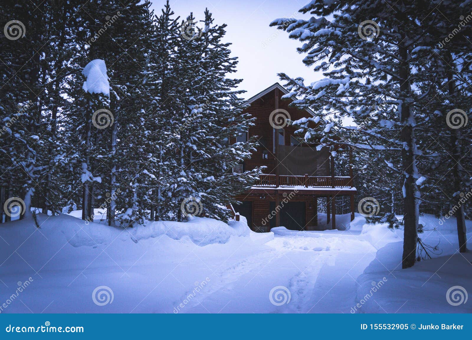 cabin in the woods  at island park idaho