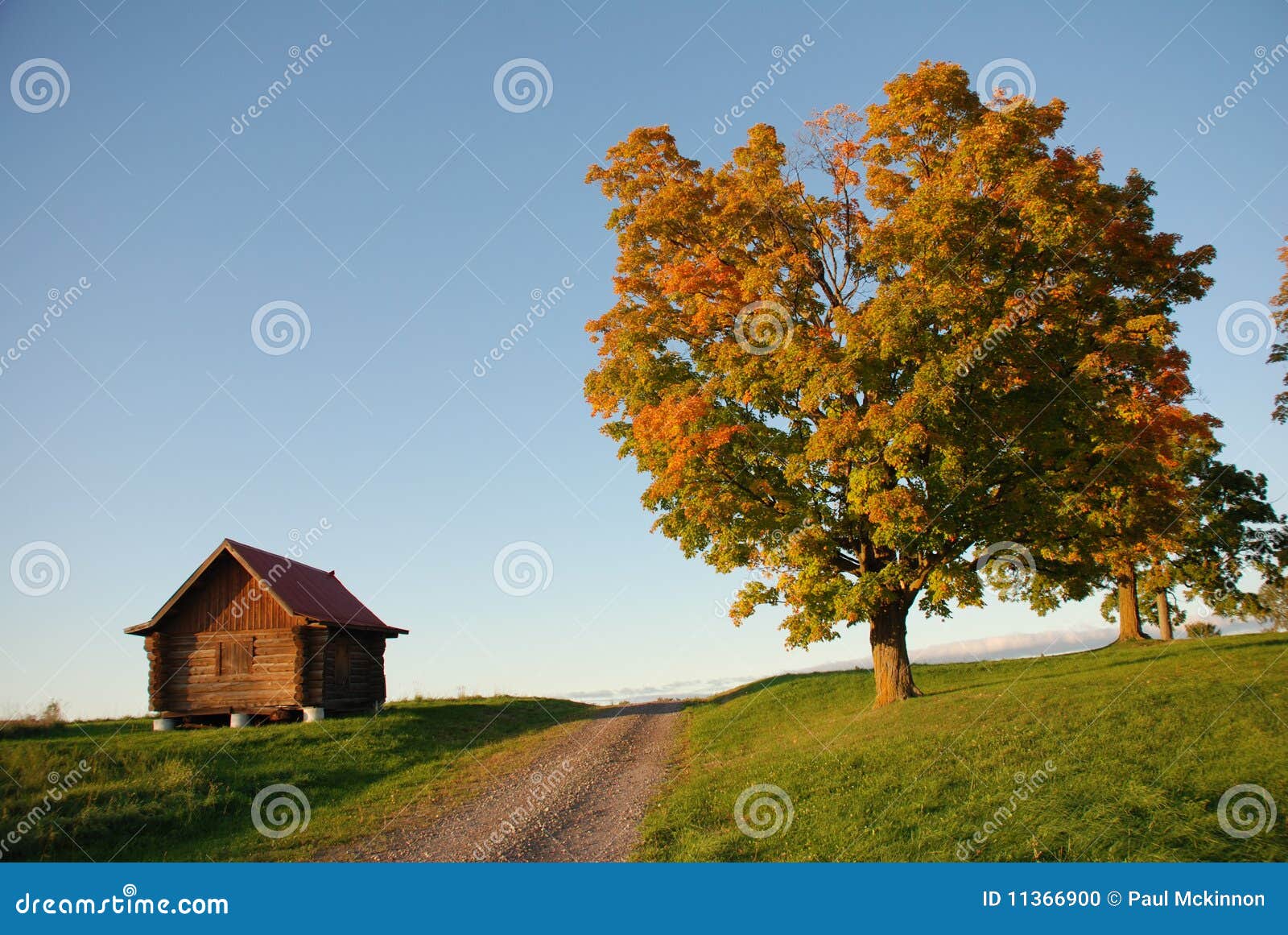 Cabina ed albero, catturati vicino al tramonto in autunno. La cabina e l'albero hanno separato da una strada non asfaltata. Catturato vicino al tramonto in autunno