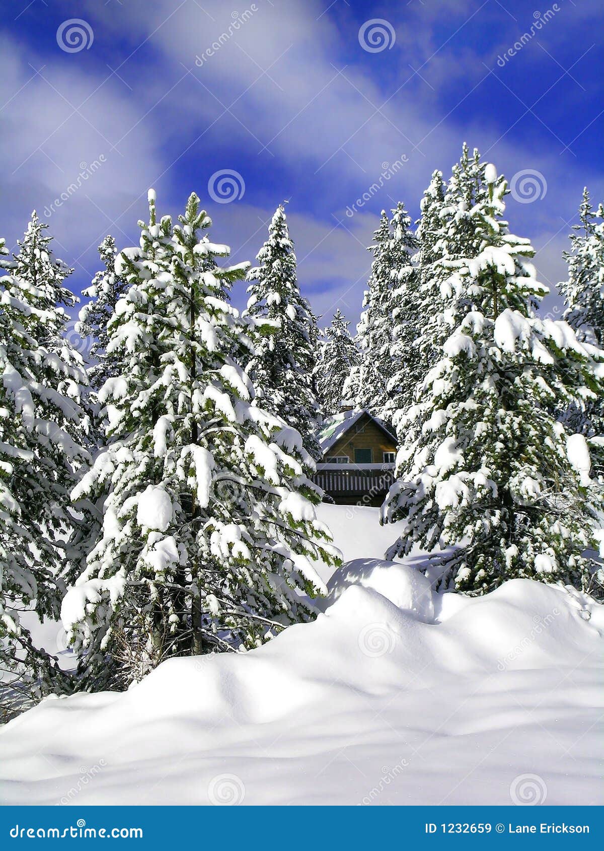 Cabine in de Winter. Cabine die door sneeuw behandelde bomen met hemel en wolken wordt omringd