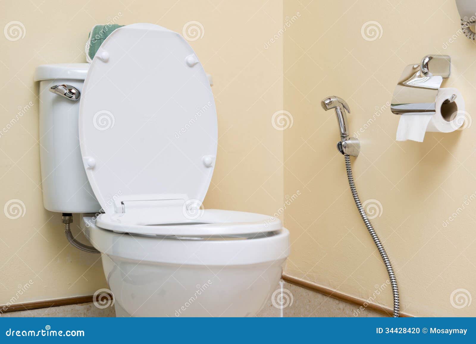D'aisance Dans La Toilette Photo stock Image du toilettes