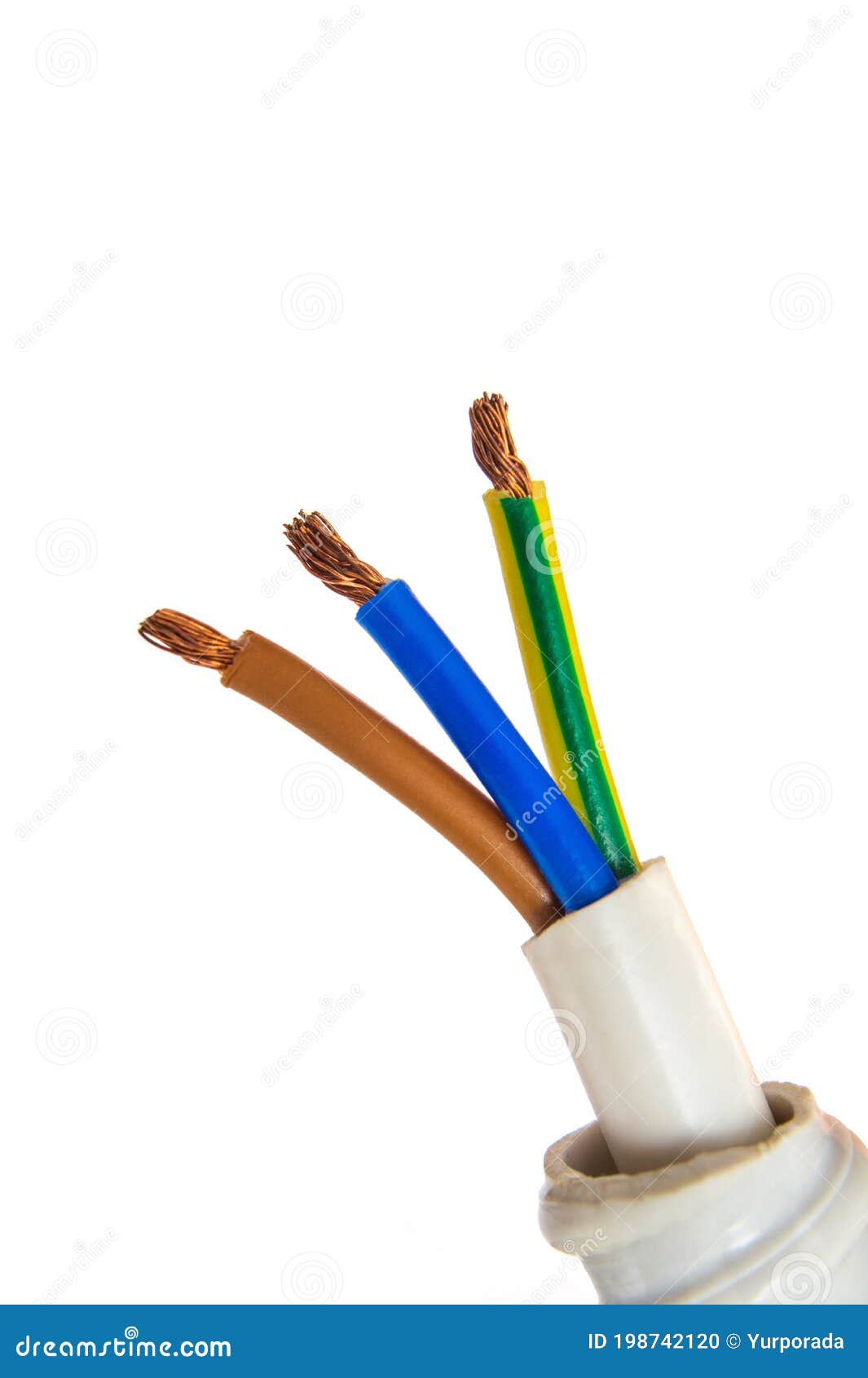 Gracias Agarrar asignar Cable Con Cables Eléctricos De Diferentes Colores Sobre Fondo Blanco.  Utilizado Para Conectarse a La Red Eléctrica Foto de archivo - Imagen de  recursos, manual: 198742120