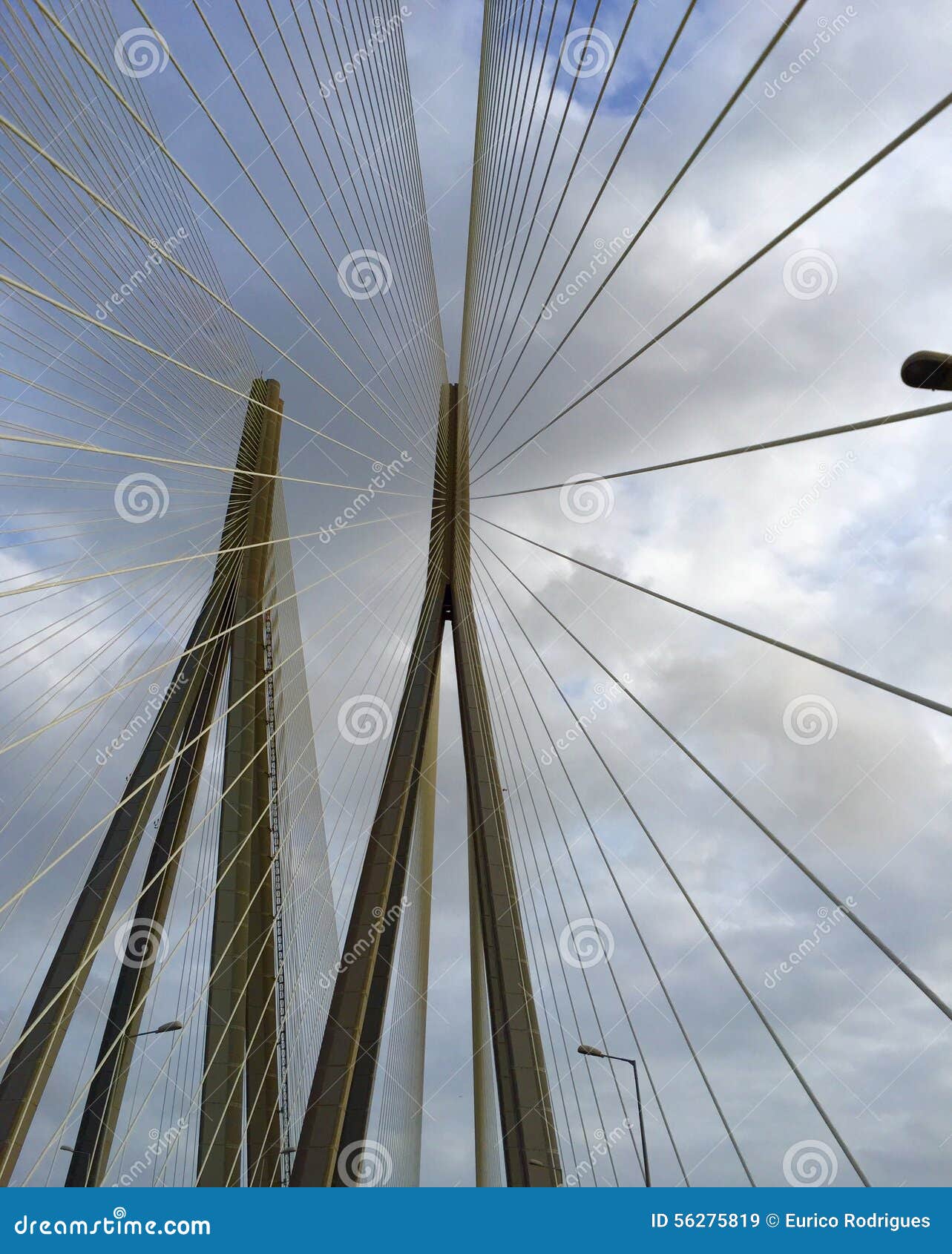 cables in a modified fan  on a cable stay bridge