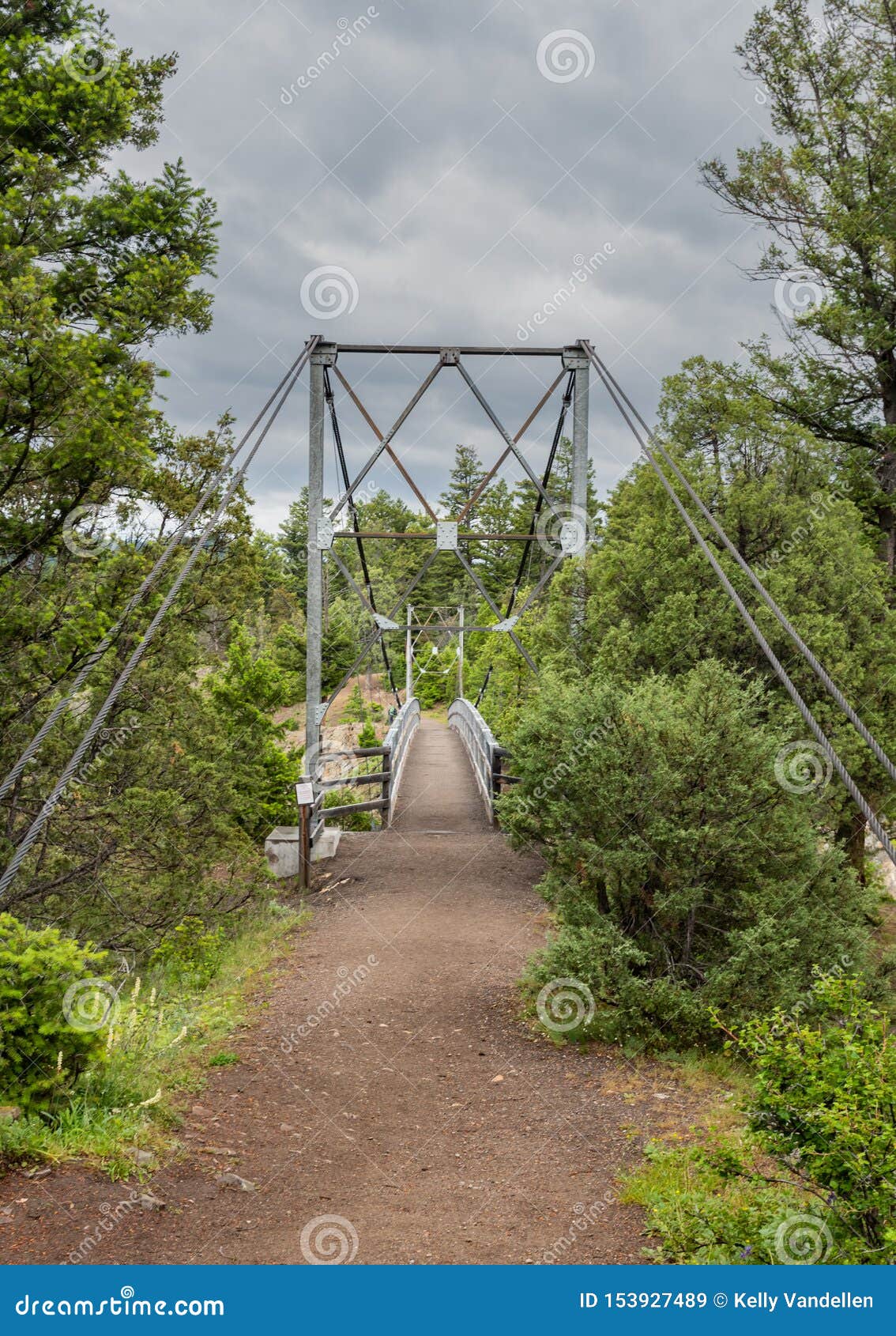 Cables Supporting Suspension Bridge Stock Image Image of creek