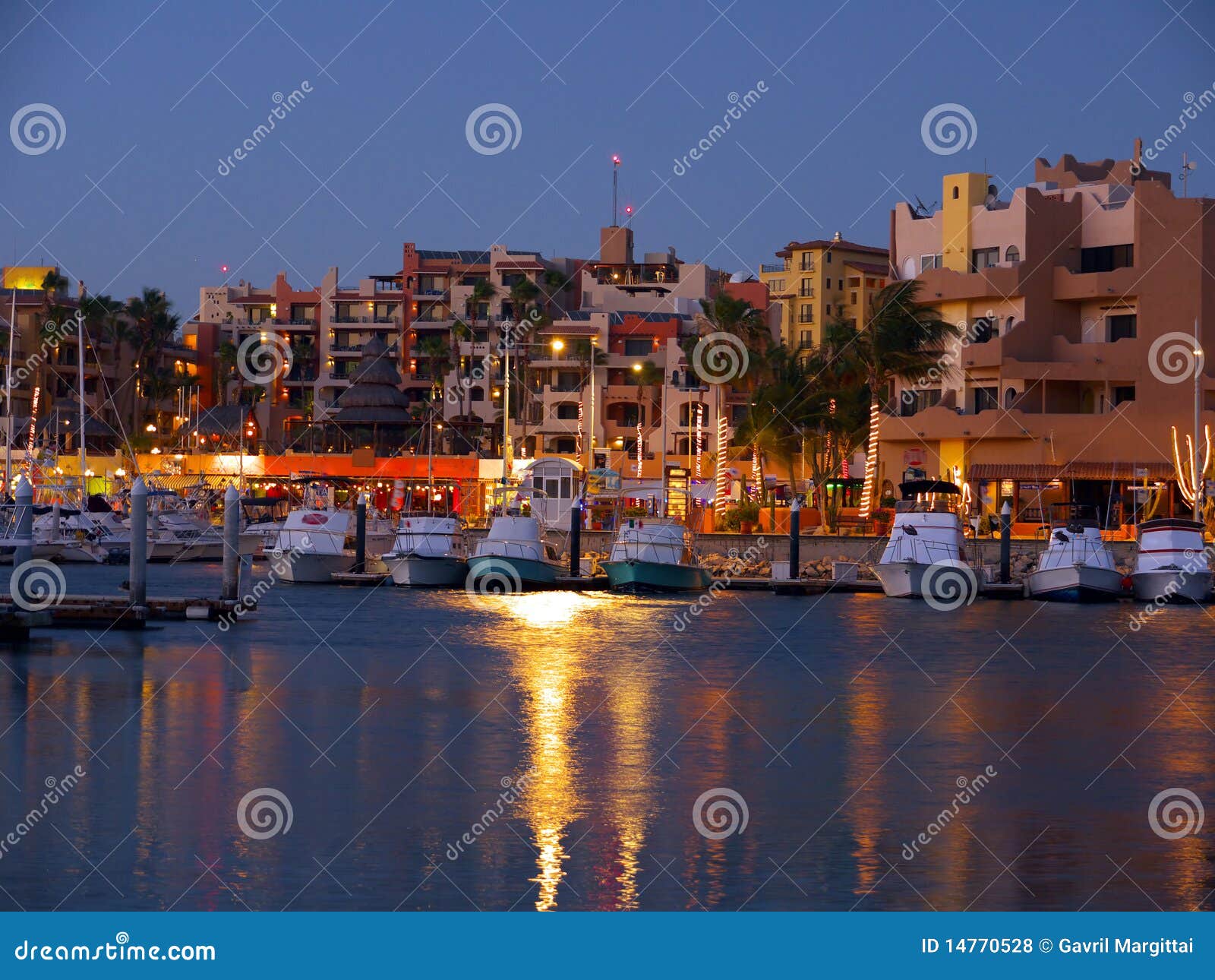 cabo san lucas, marina at night