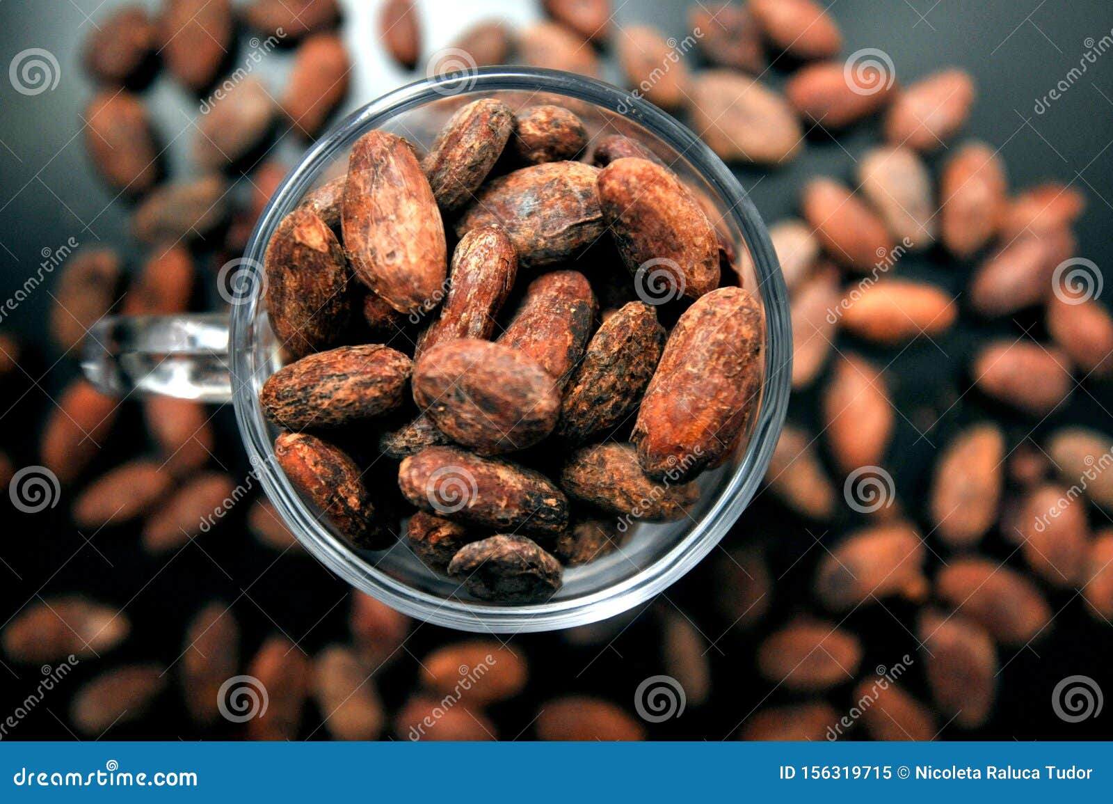 cacao beans are rich in many minerals, including iron, magnesium, phosphorus, zinc, manganese, and copper