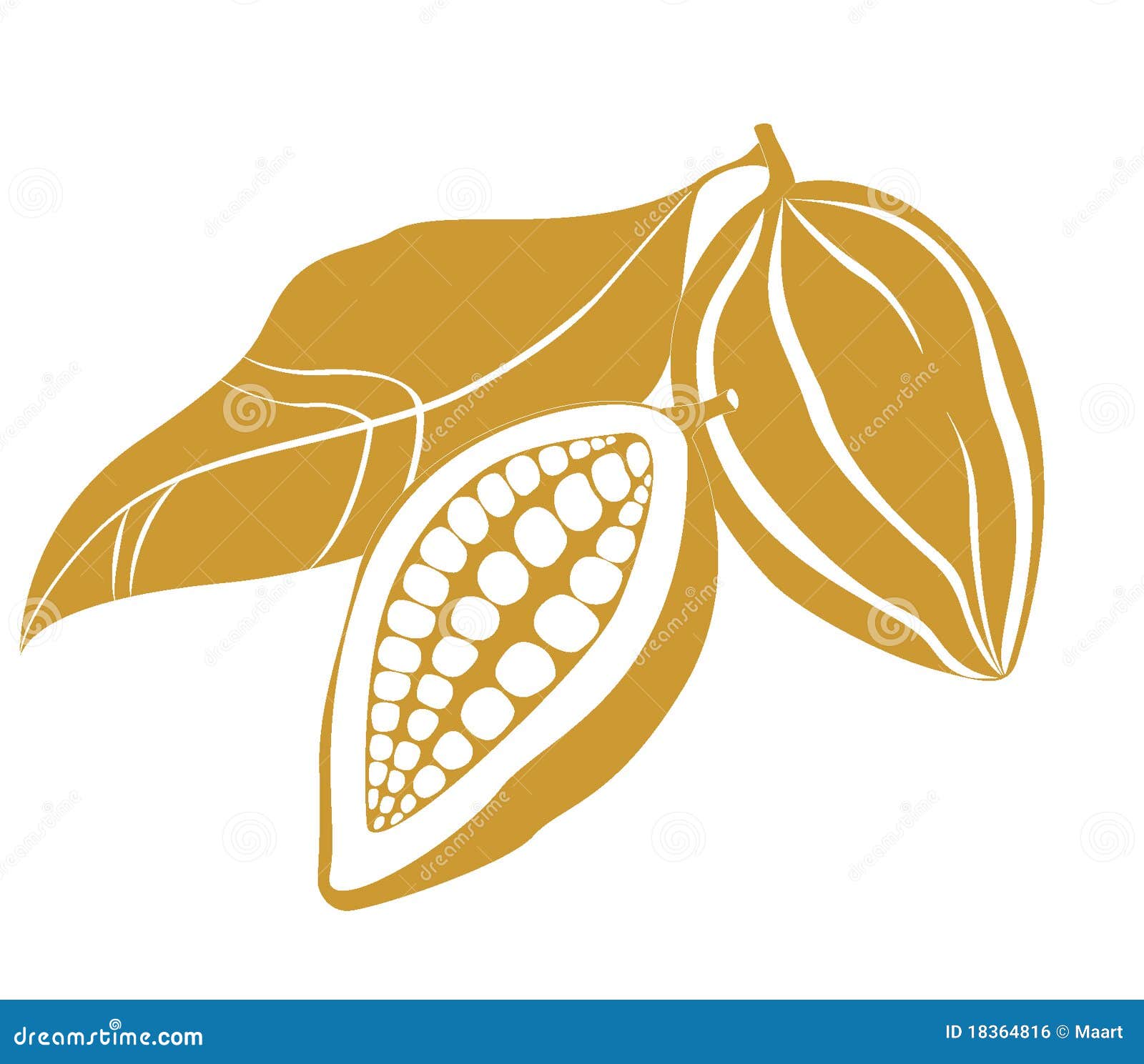 Cacao beans stock vector. Illustration of cocoa, element