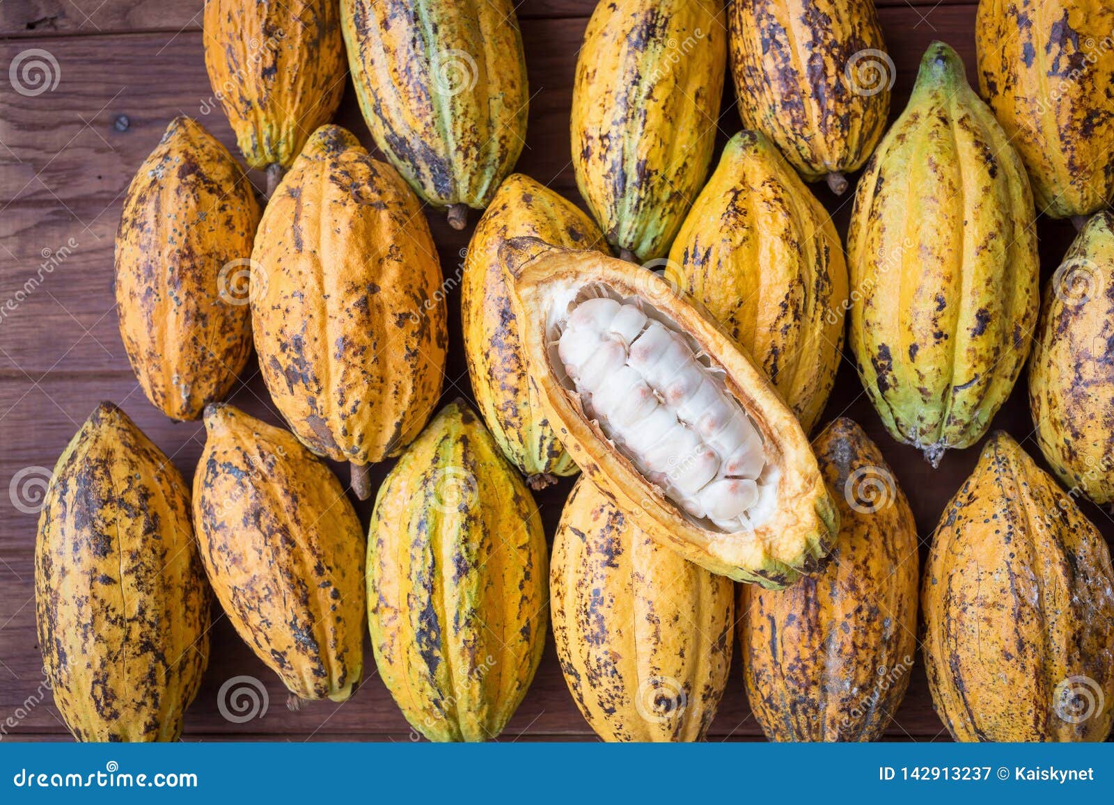 Cacao Fruit, Raw Cacao Beans, Cocoa Pod Background Stock Image Image of vintage, grain 142913237
