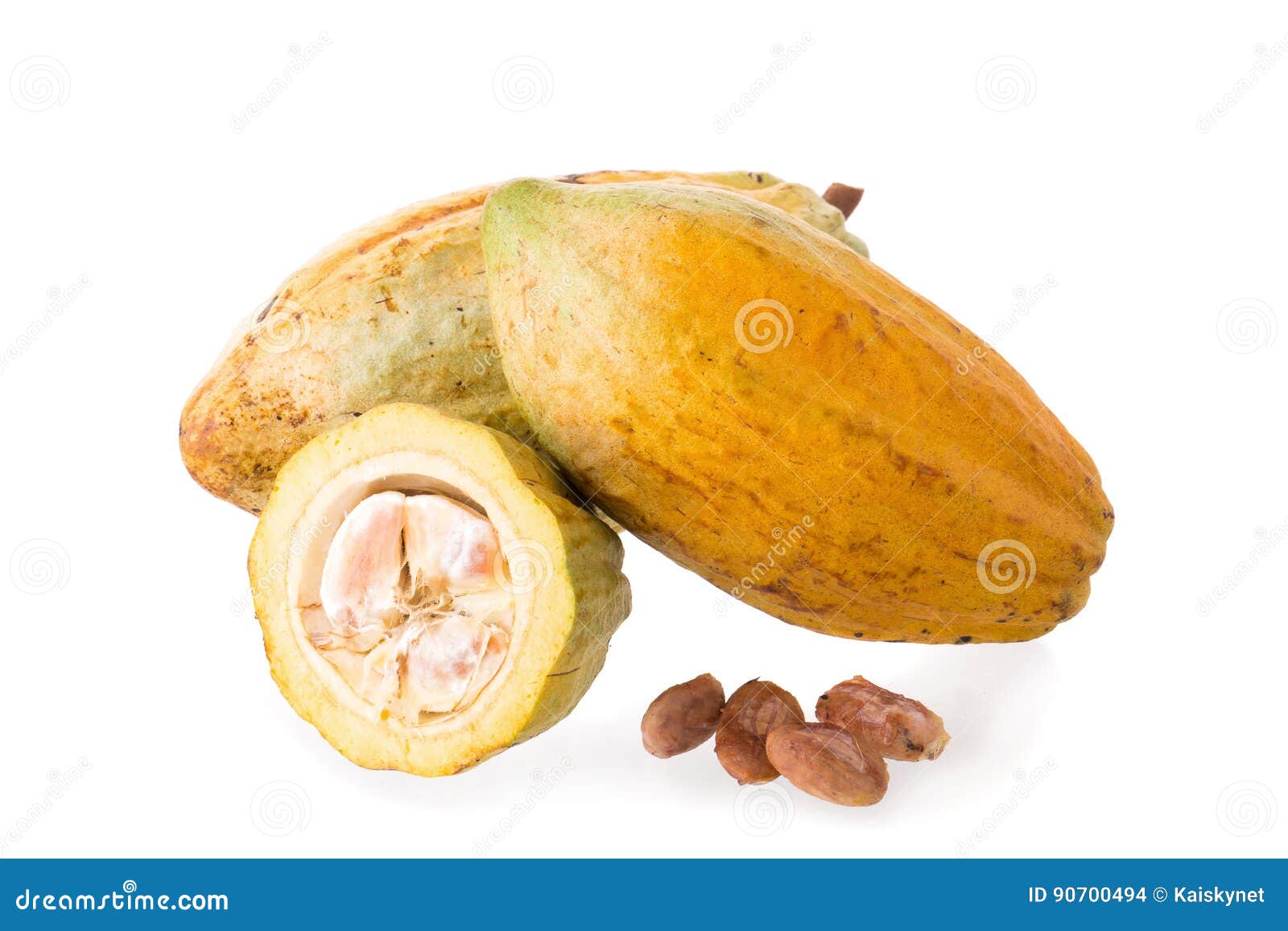Cacao Fruit, Raw Cacao Beans, Cocoa Pod On White Background Stock Photo Image of cocoa, fruit