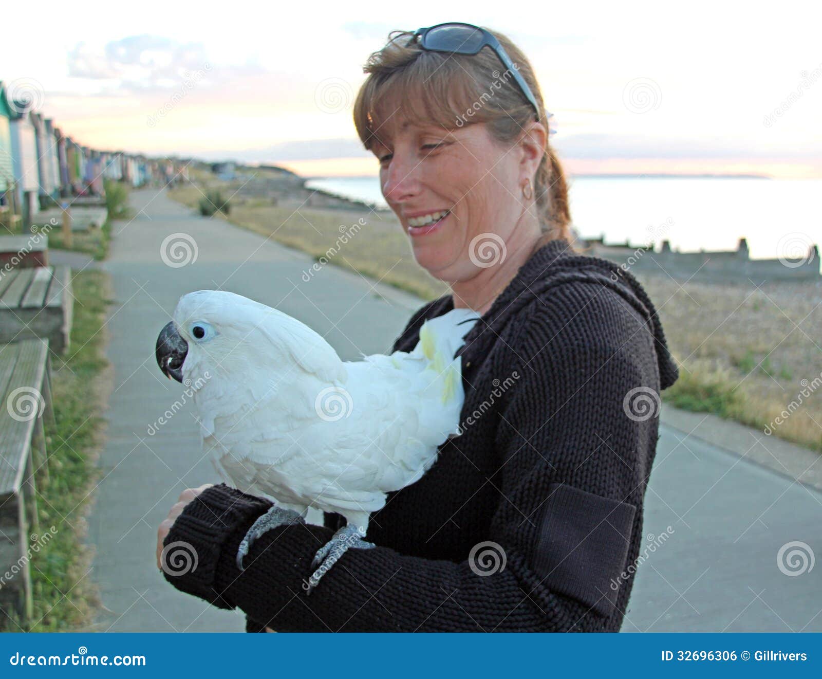 Cacatúa del paraguas foto de archivo. Imagen de mujeres 32696306