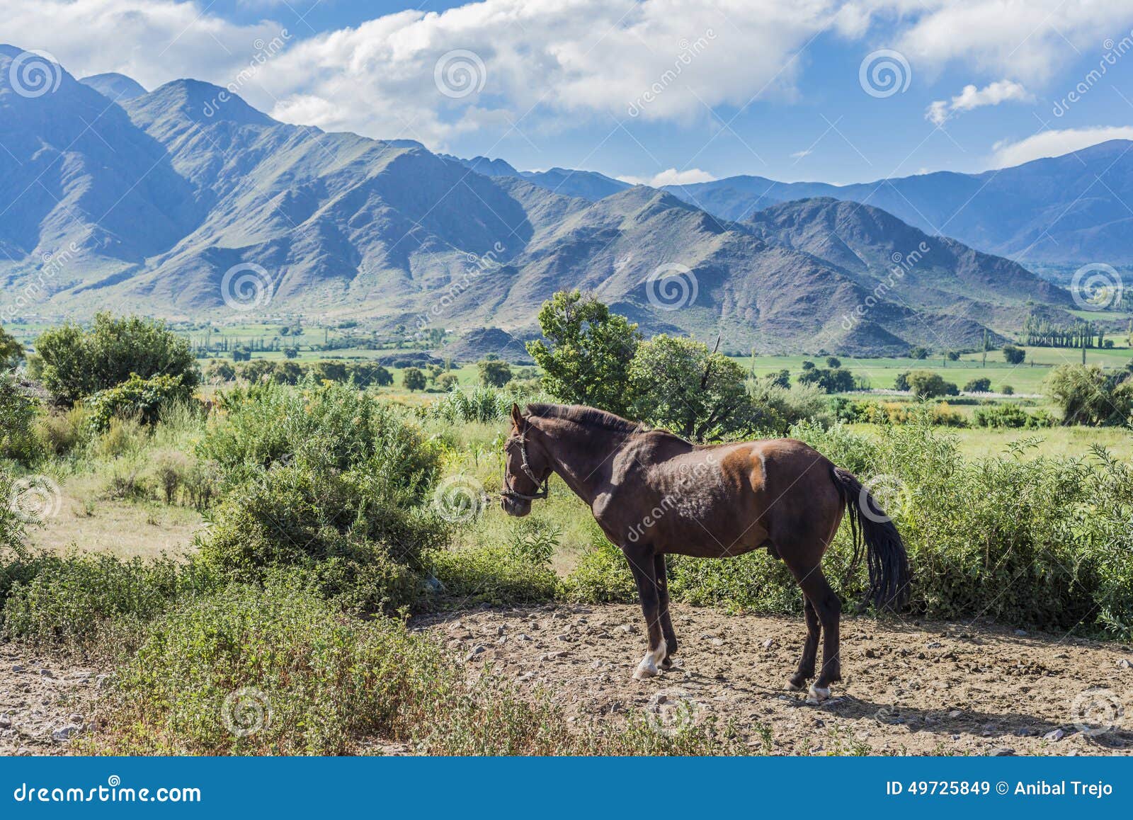 cachi adentro in salta, northern argentina