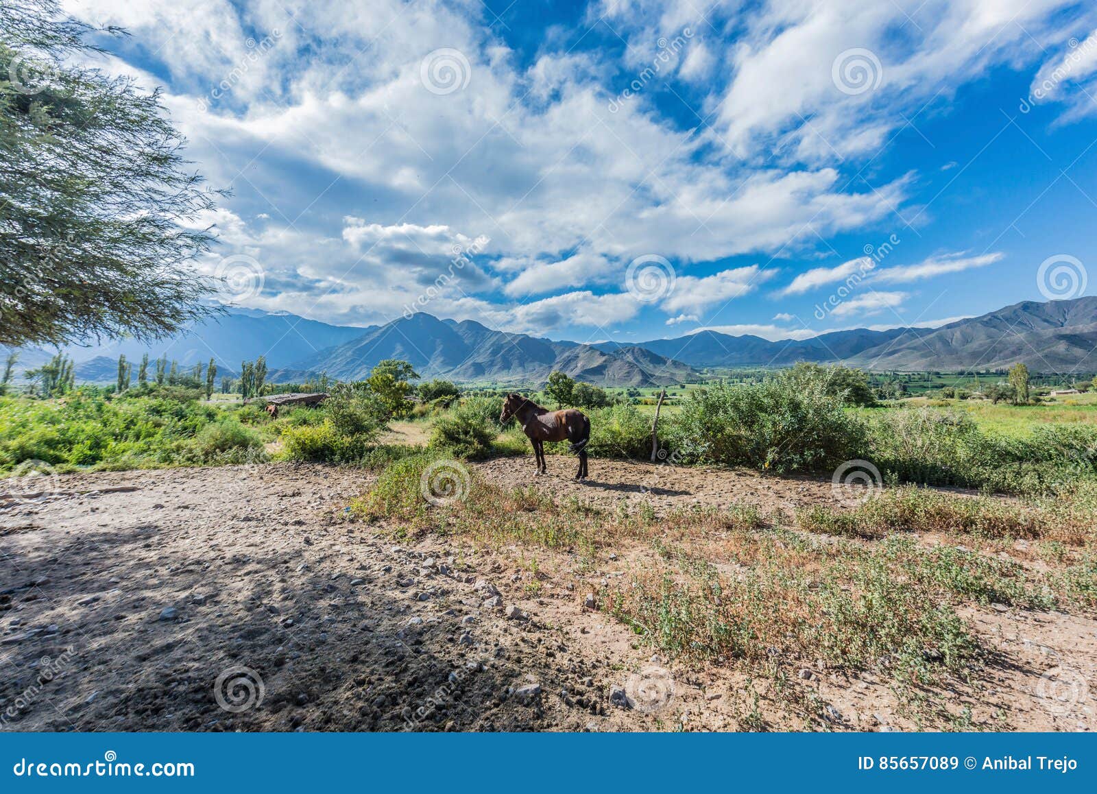 cachi adentro in salta, northern argentina