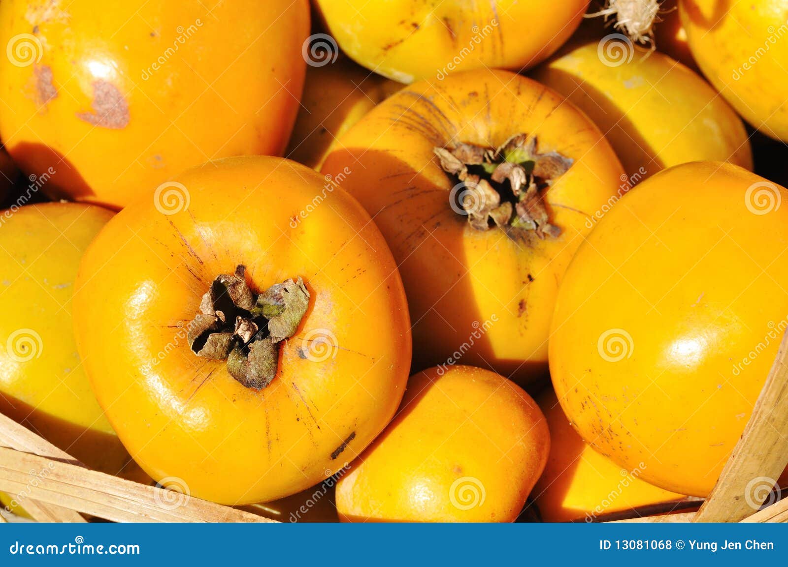 yung bianche e azzurre