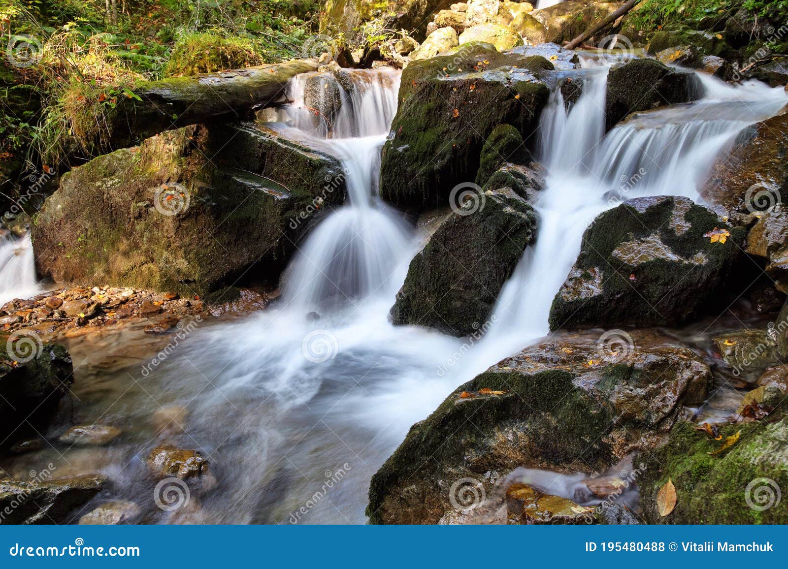 Uma cachoeira na floresta com um fundo verde