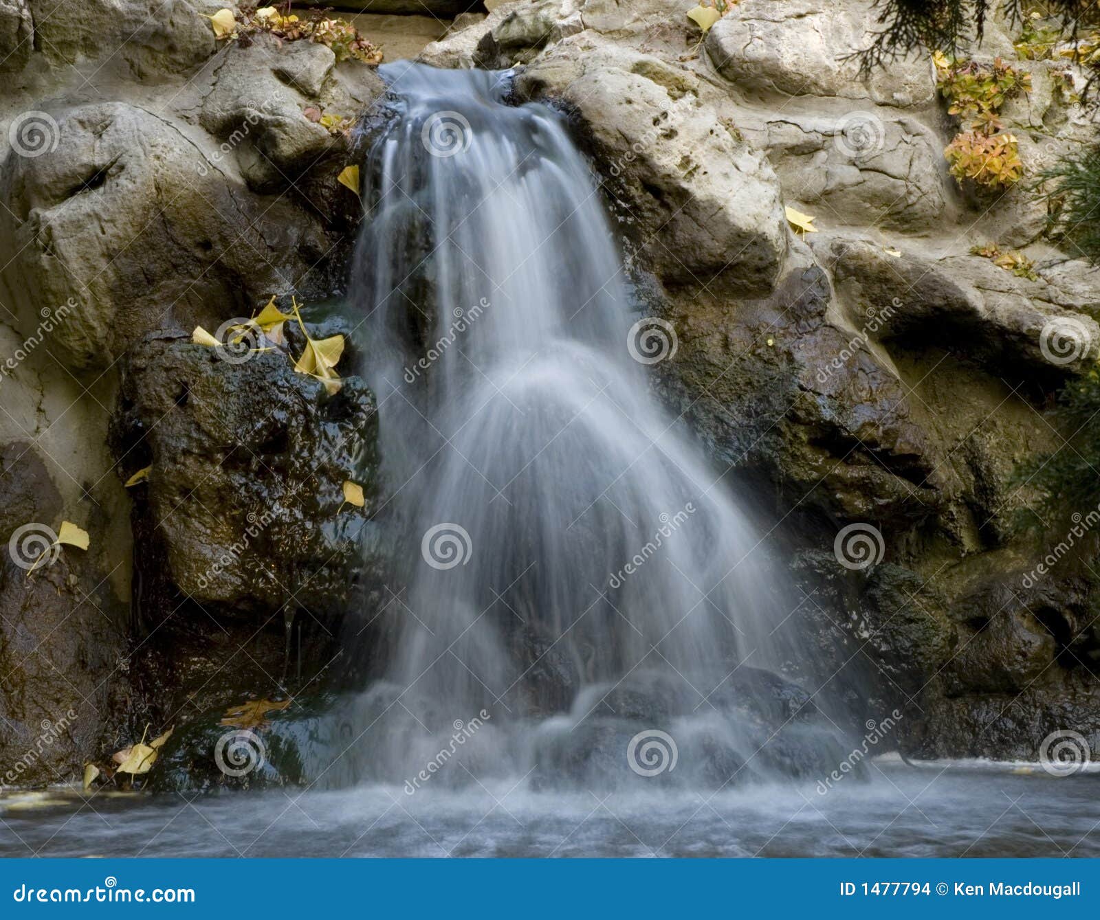 Cachoeira do jardim, algumas folhas e borrão de movimento