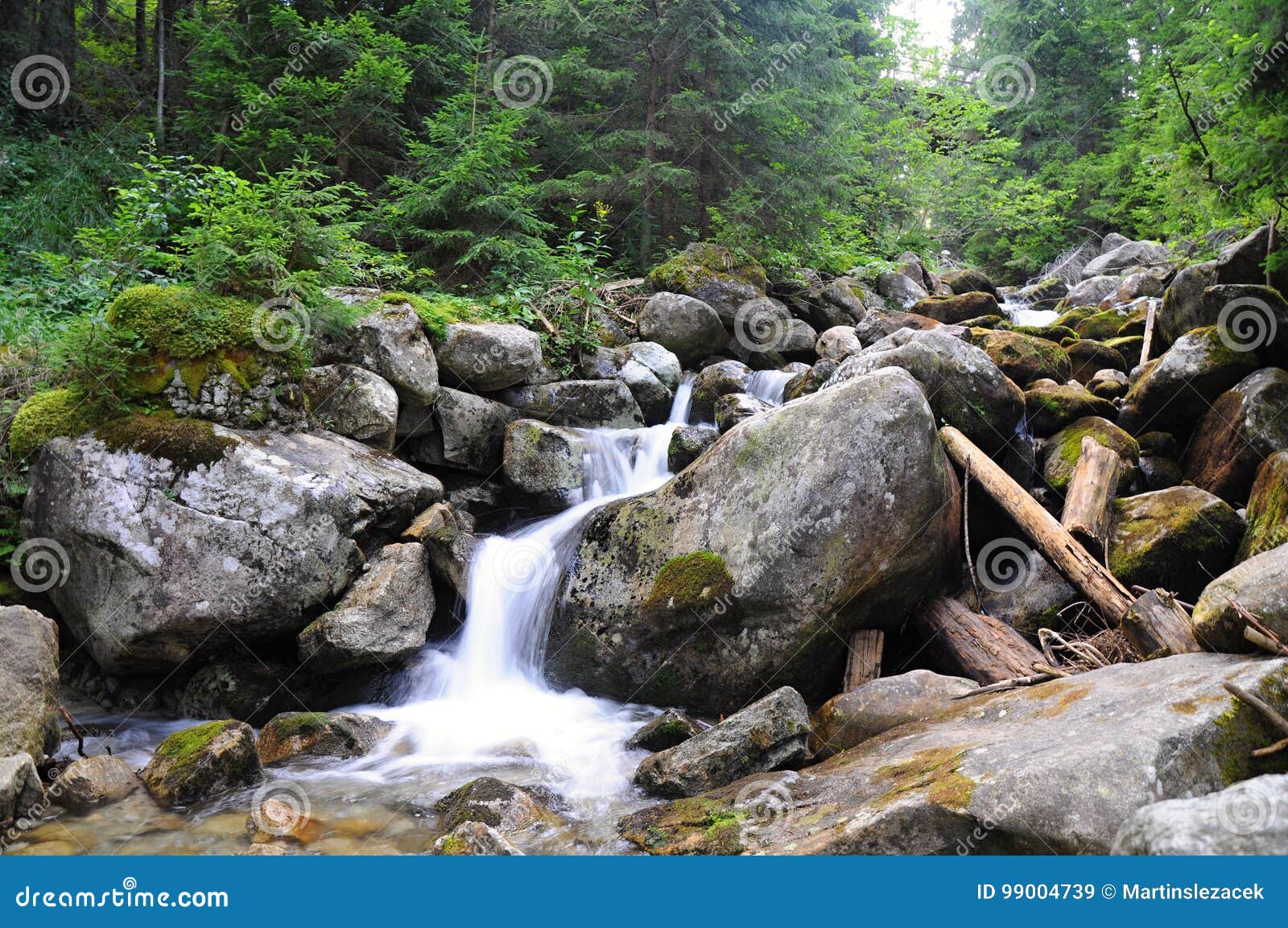 Uma cachoeira na floresta com um fundo verde