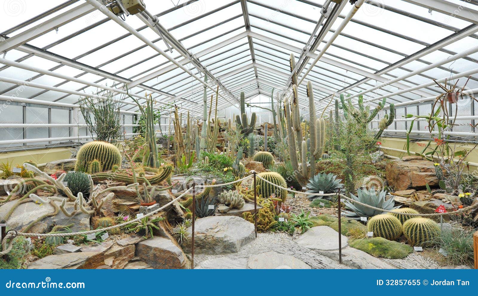 Cacti Plants On Display In Munich Botanical Garden Stock Image