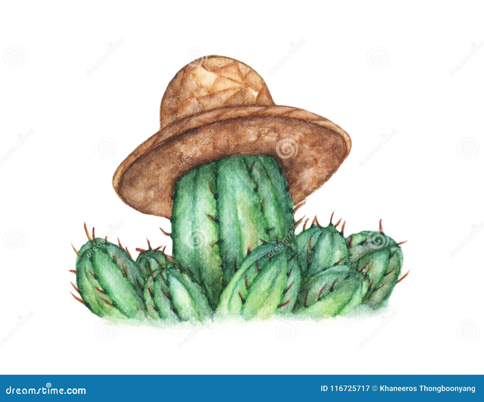 Ilustração em preto, preto e branco Cactaceae desenho pintura, planta de cacto  preto e branco padrão, Pintura em aquarela, branco, texto png