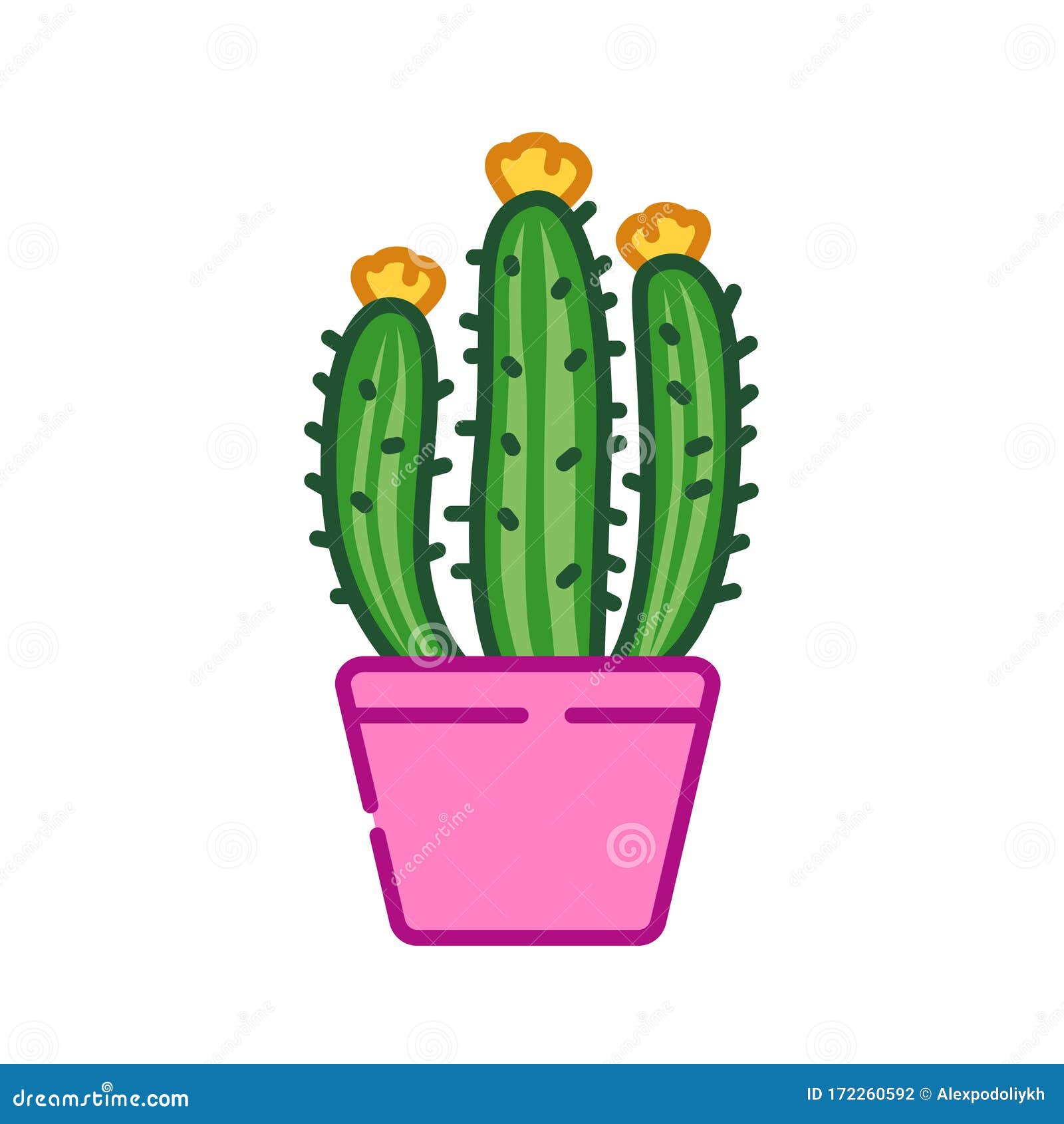 Cactus em vaso, desenho planta, pintado à mão flores png
