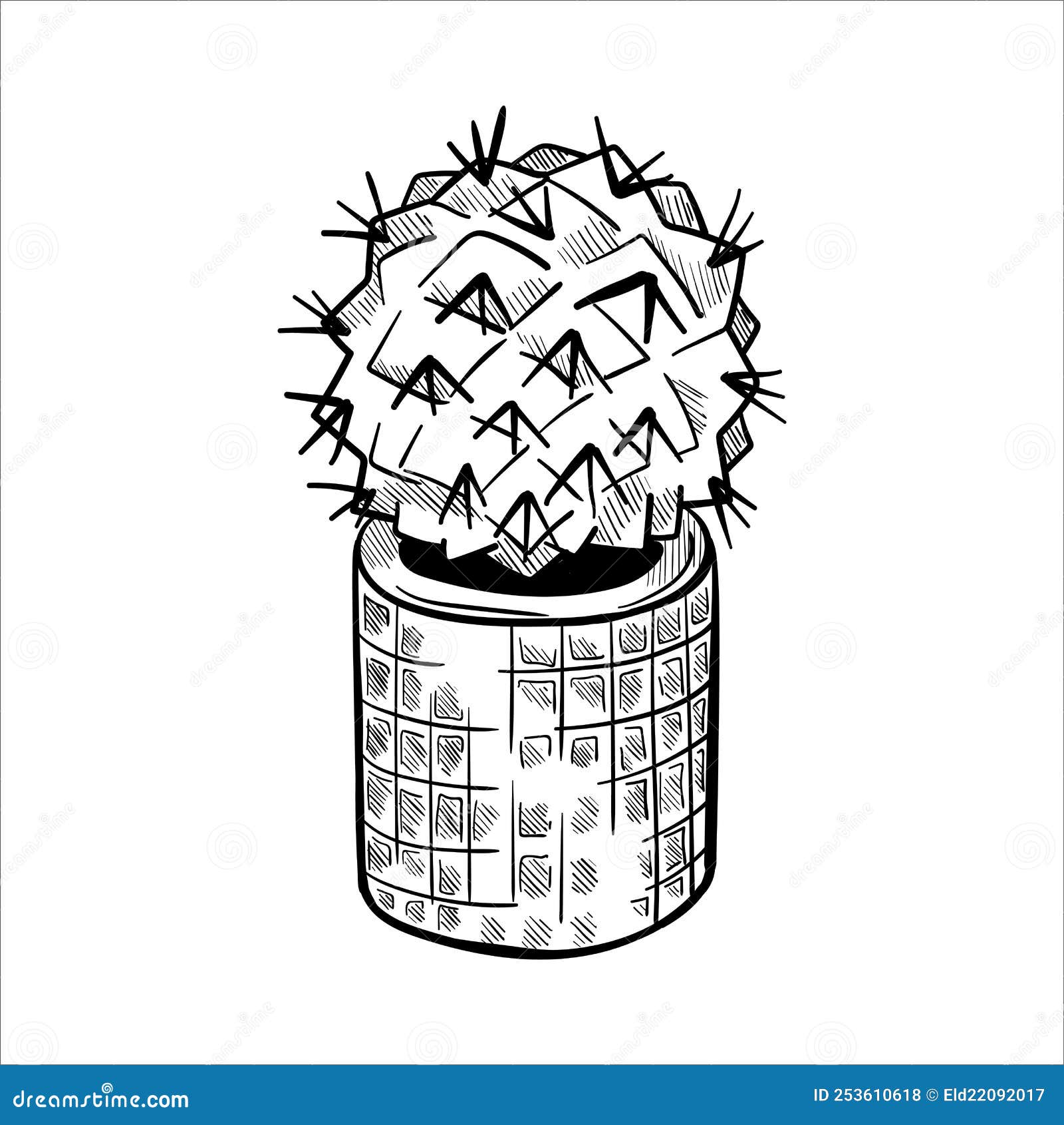 Conjunto De Cactos Em Bolbos De Flores. Desenho Desenhado à Mão Isolado Em  Branco Ilustração Stock - Ilustração de isolado, plantas: 253611264